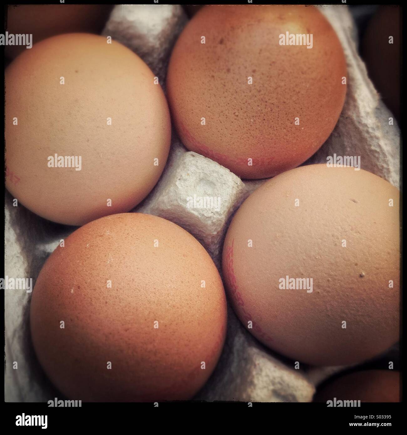 Organic free range chicken eggs in egg box Stock Photo
