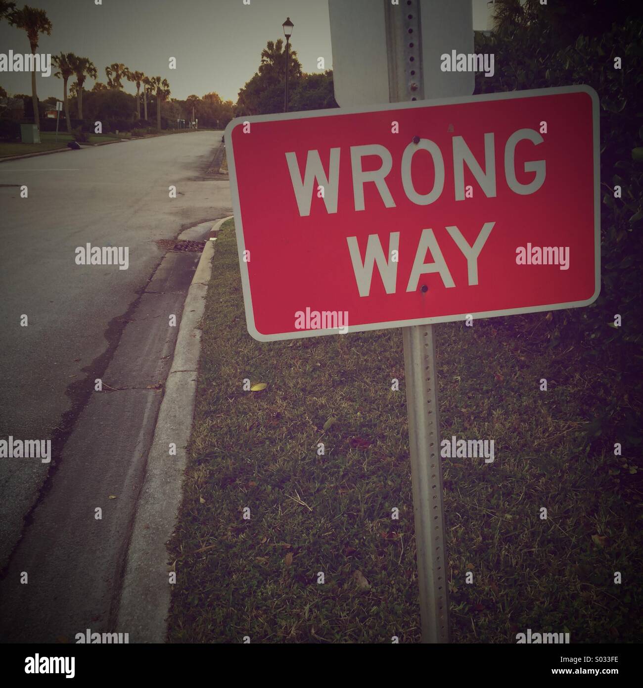 Wrong way street sign - Smartphone Captured Stock Image