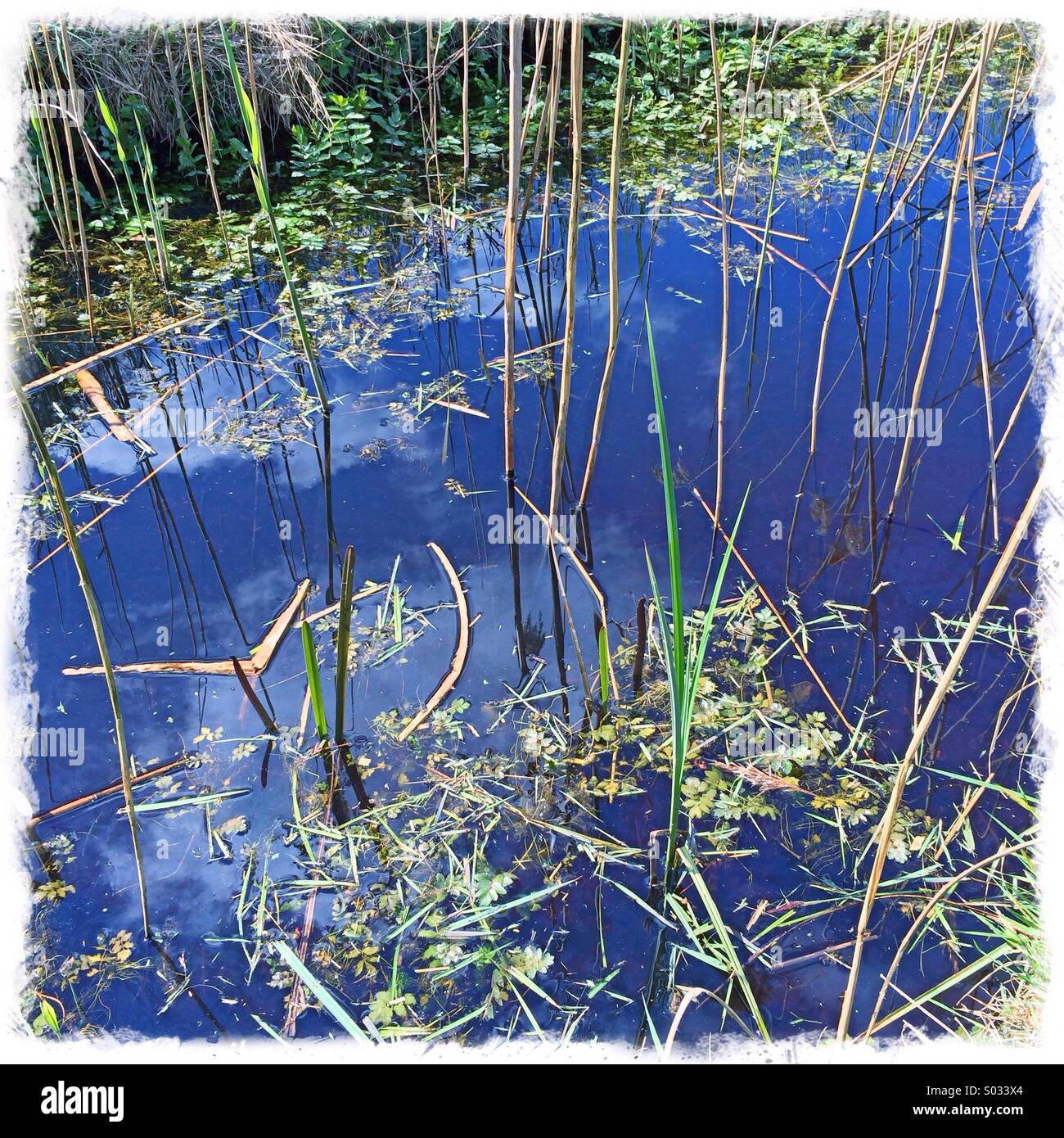 Freshwater flooding hi-res stock photography and images - Alamy