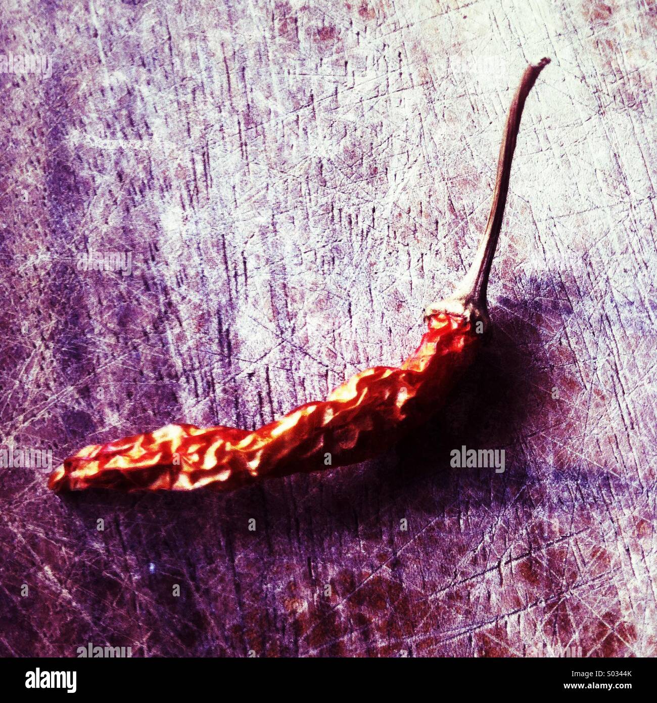 Dried chili pepper - Smartphone Captured Stock Image