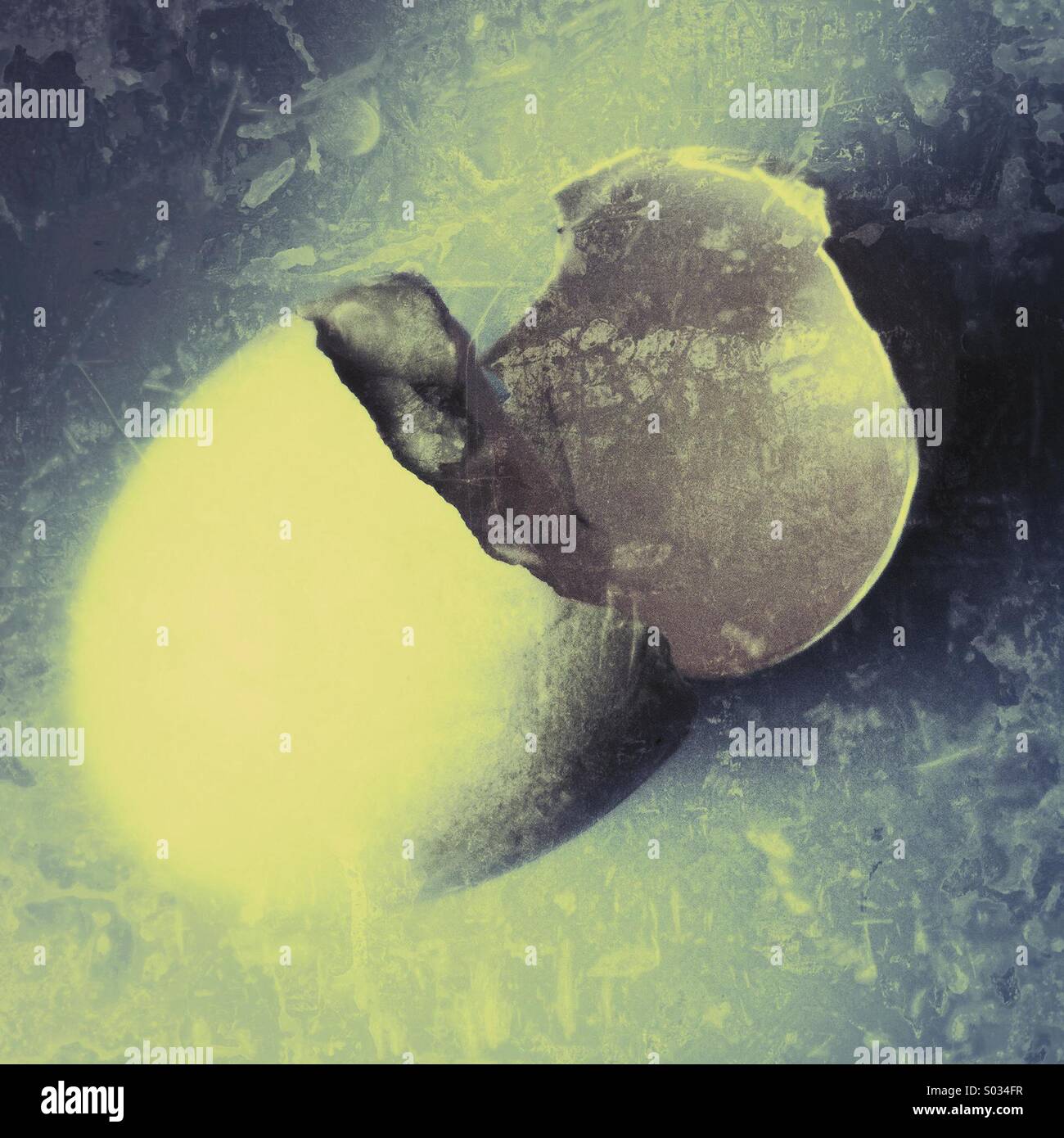 Empty goose egg - Smartphone Captured Stock Image