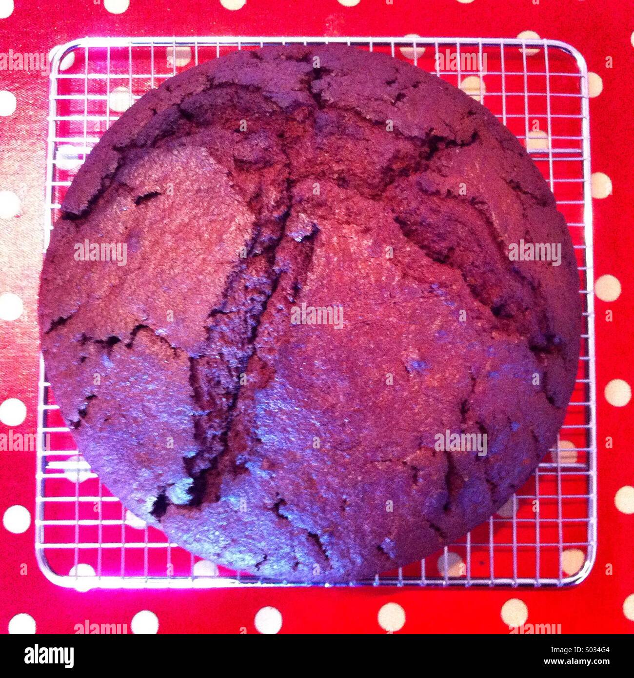 Chocolate cake on a cooling rack - Smartphone Captured Stock Image