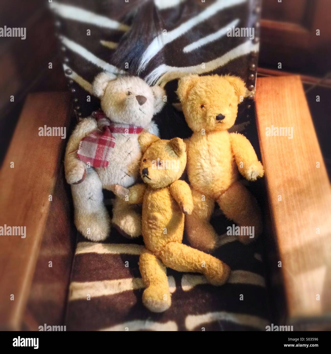 Three old teddie bears on an old chair - Smartphone Captured Stock Image