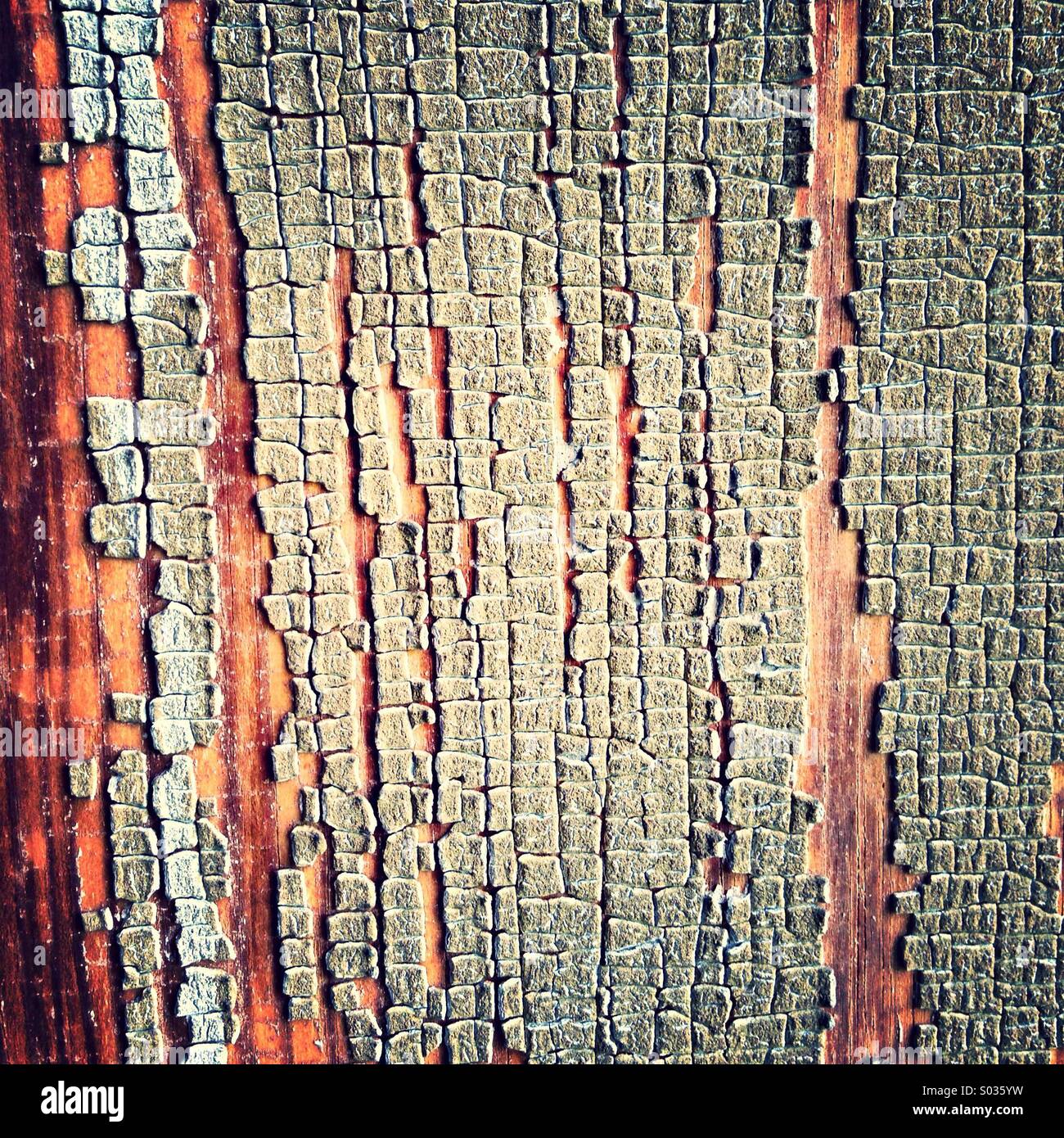 Paint peeling from wood Stock Photo Alamy