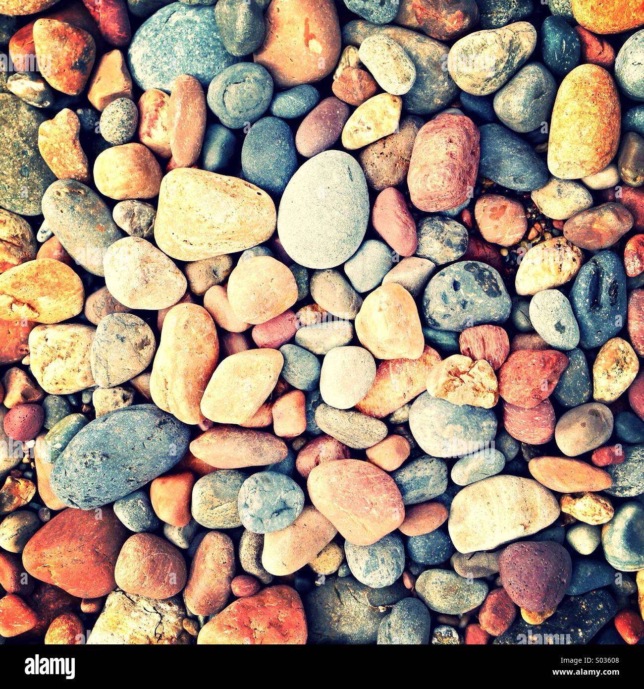 Pebbles on a pebble beach Stock Photo