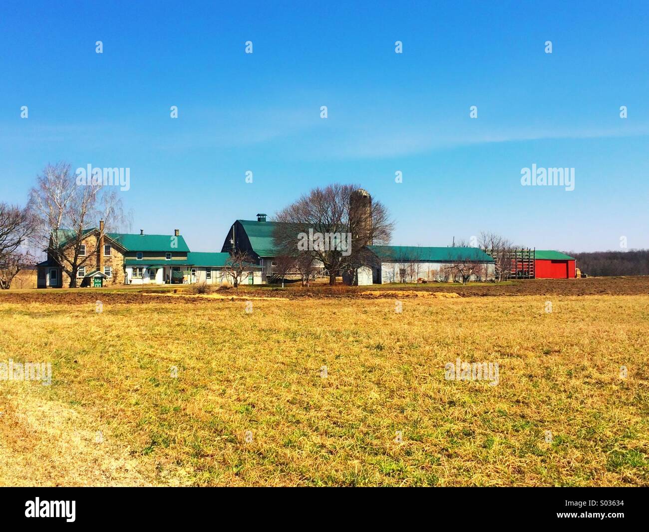 Mennonite Farm, at St. Jacobs in Kitchener Ontario Stock Photo