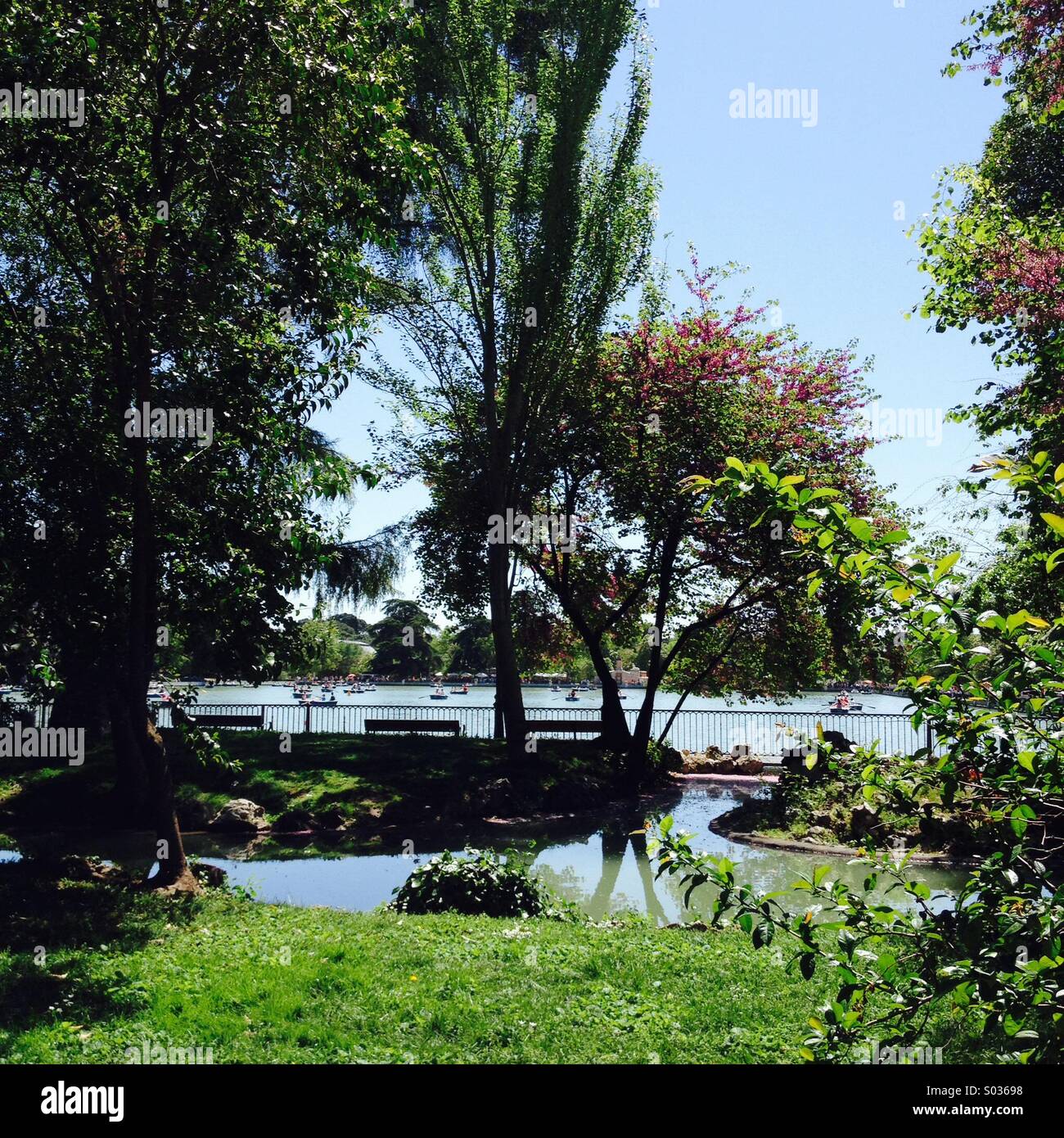 Summer is in the air at El Retiro park, Madrid. Spain - Smartphone Captured Stock Image