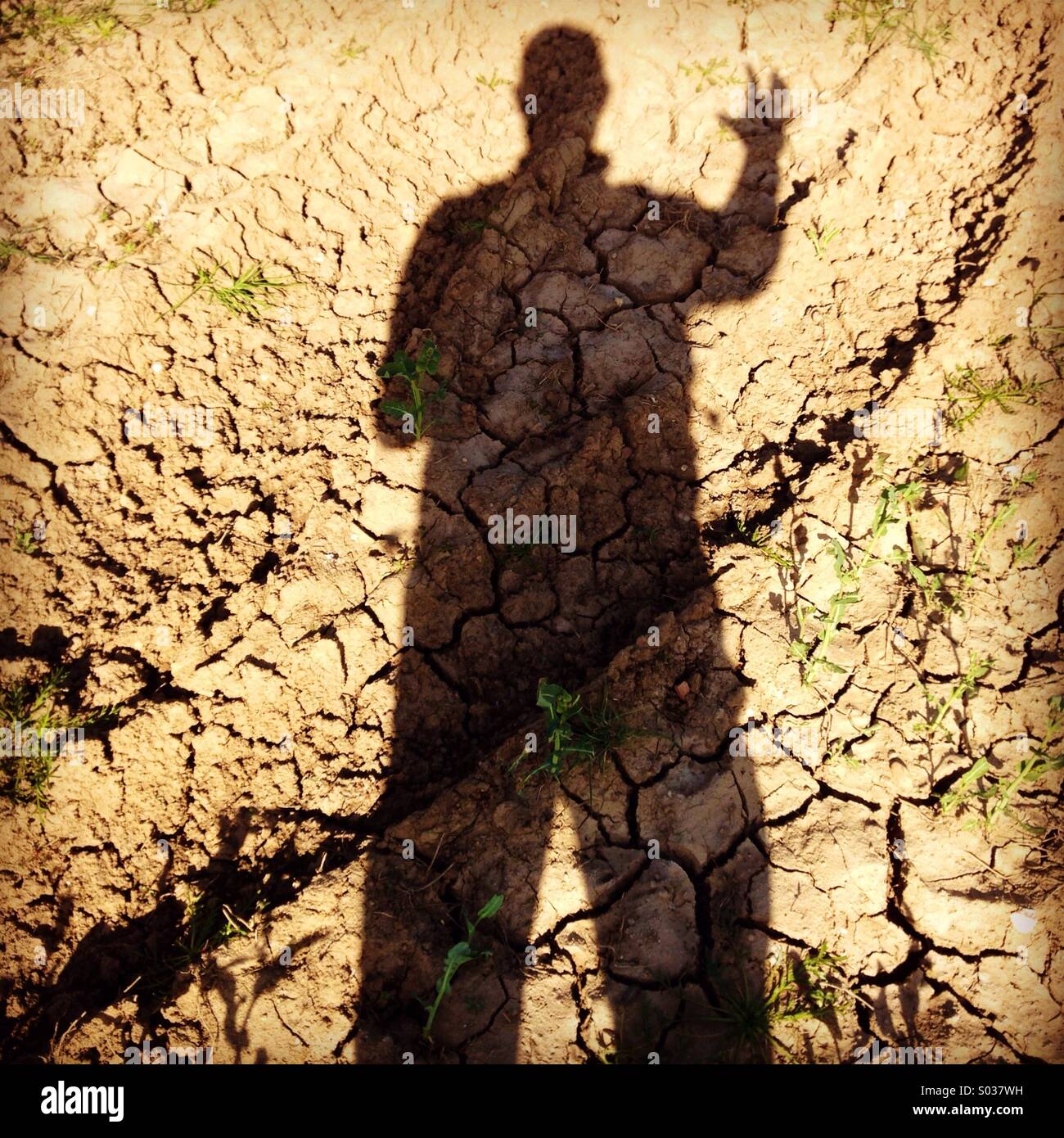 Silhouette of a Human Being on parched earth. Stock Photo