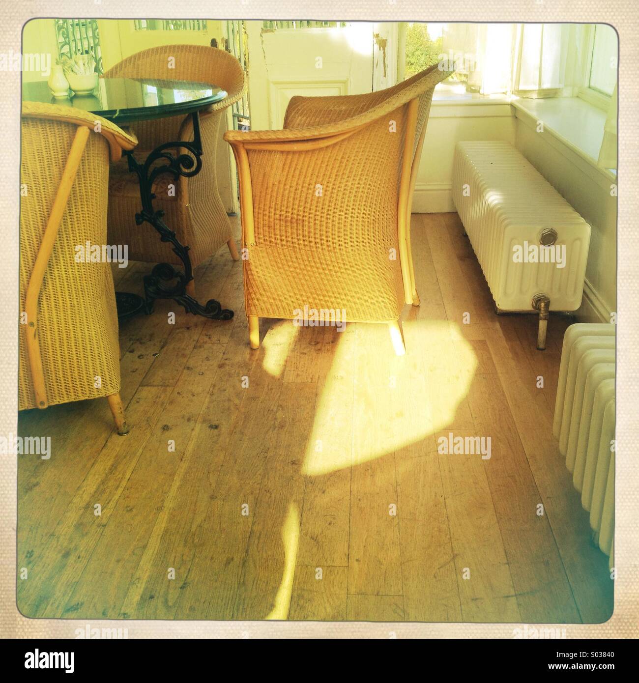 Wicker chairs in winter gardens - Smartphone Captured Stock Image