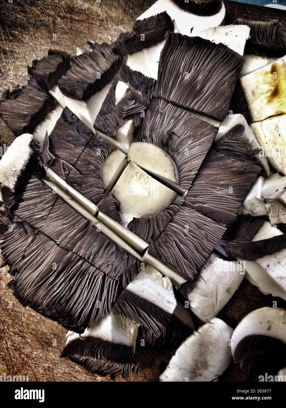 Flat mushroom hi-res stock photography and images - Alamy