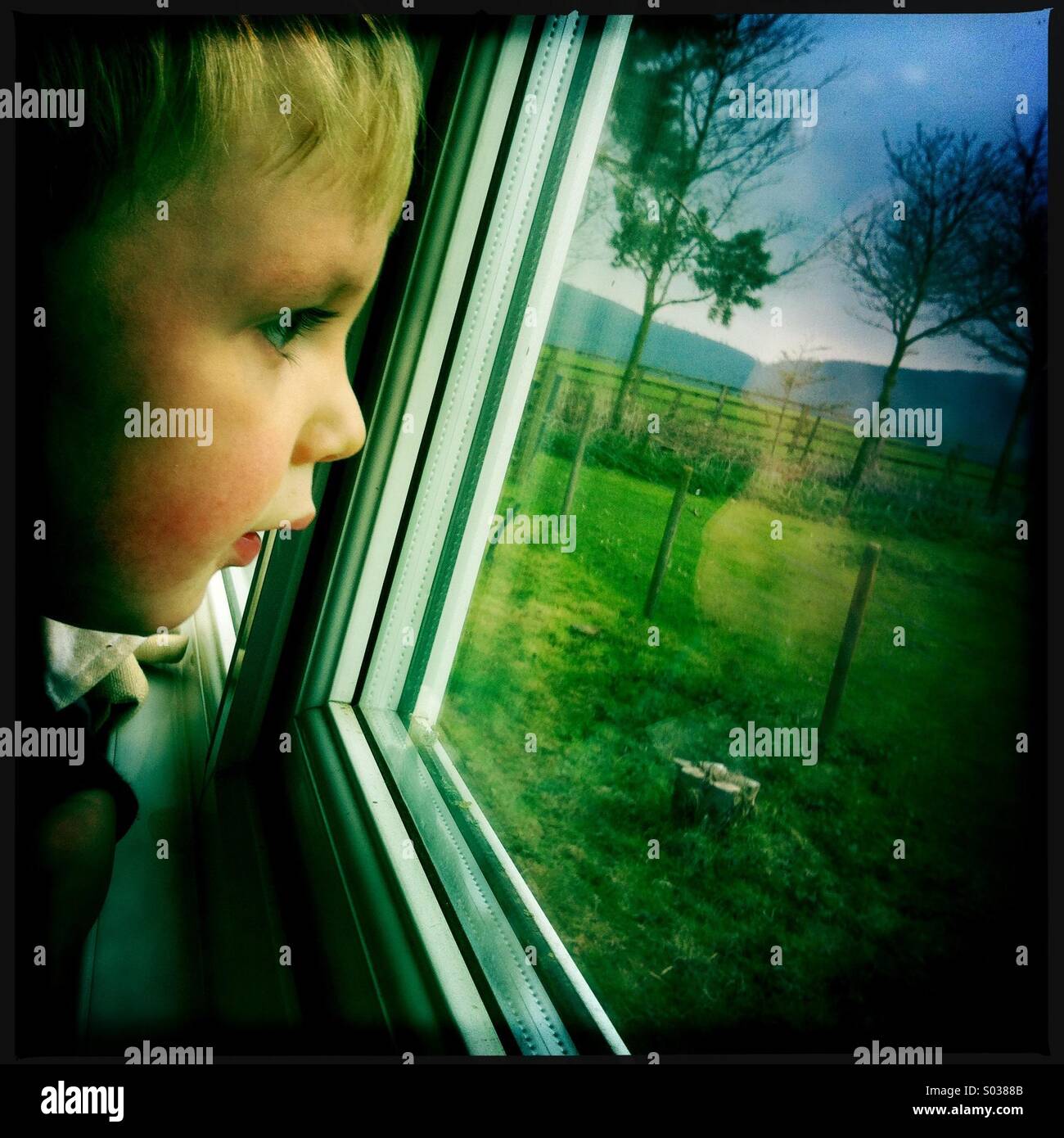 A young boy looking out of a window Stock Photo
