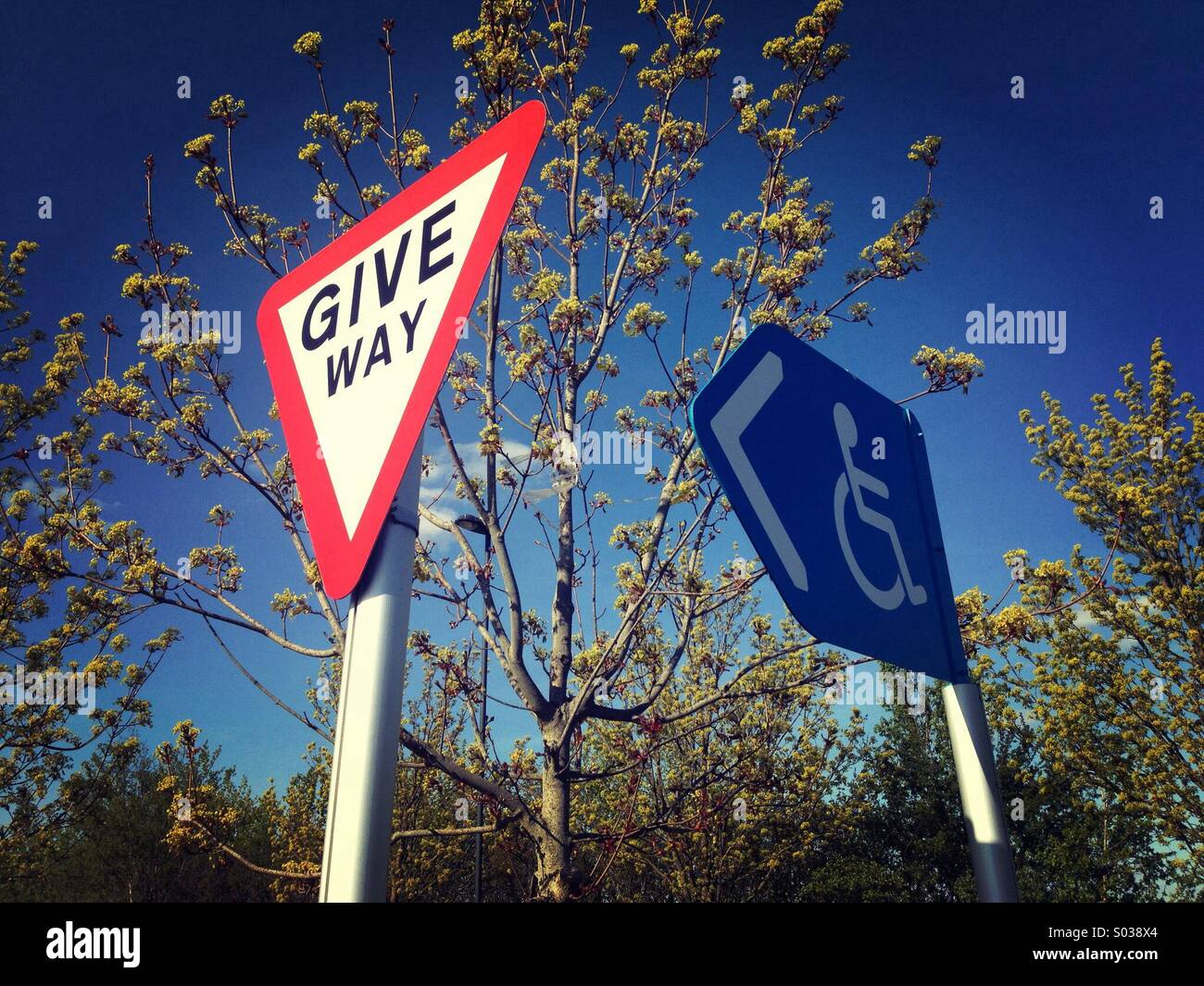 Give way to wheelchairs - Smartphone Captured Stock Image