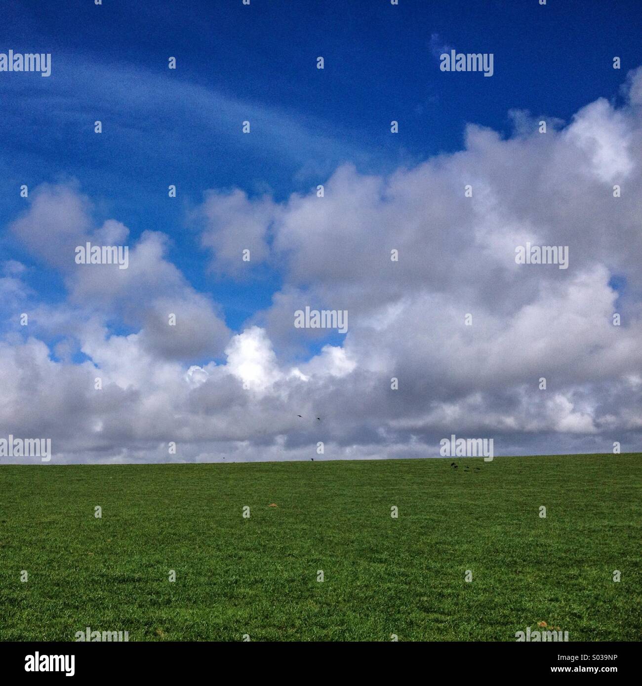 Summer sky, England, UK - Smartphone Captured Stock Image