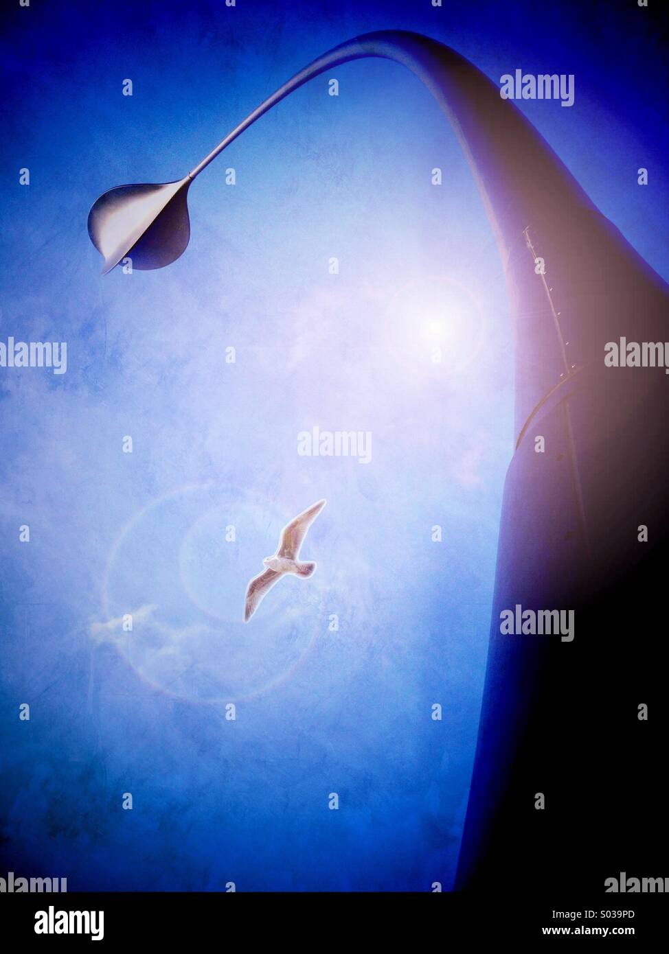 Seagull and dune grass sculpture composite image - Smartphone Captured Stock Image