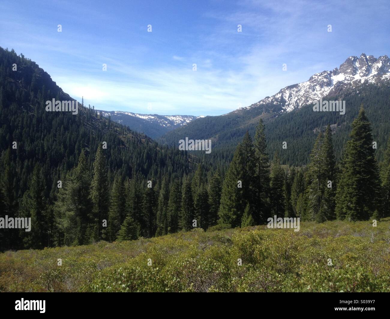 Plumas national park hi-res stock photography and images - Alamy