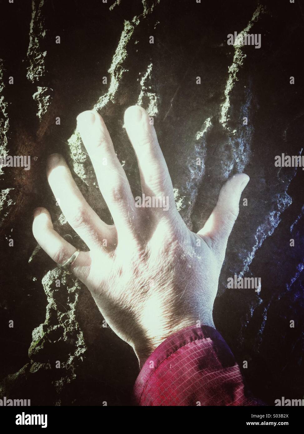 Sinister mans hand on a tree trunk Stock Photo