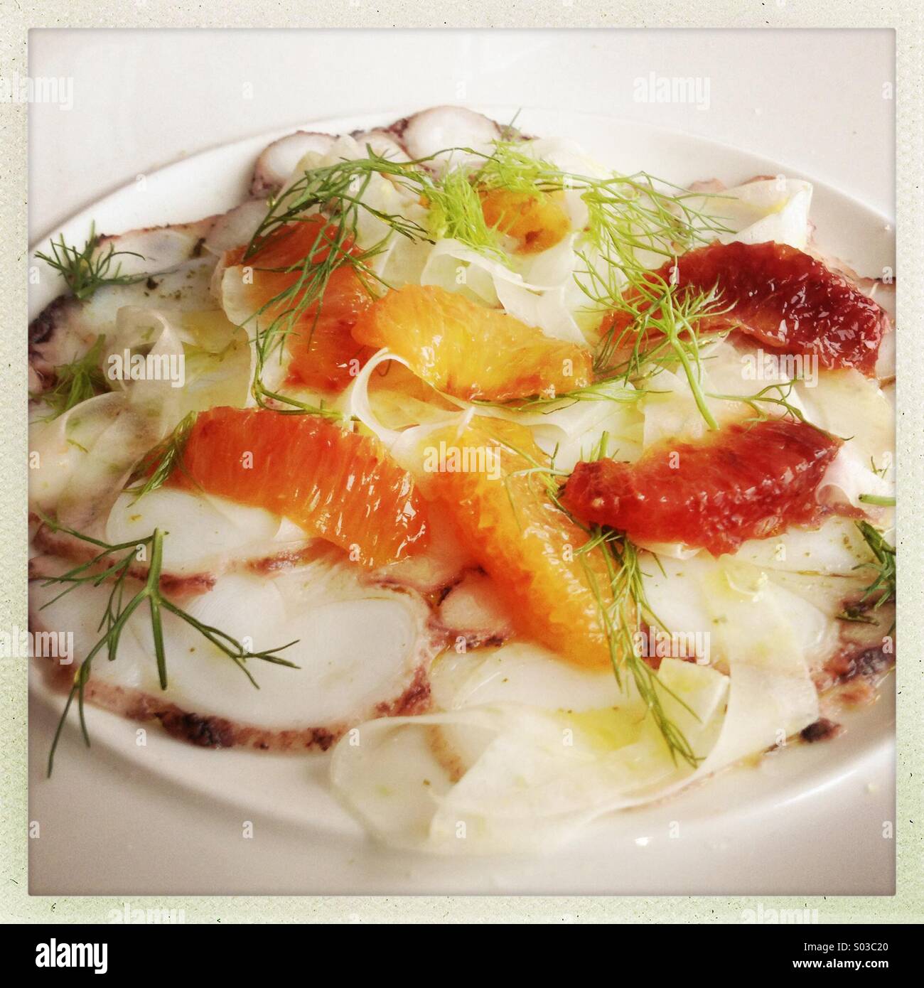 Octopus carpaccio with blood orange and Florence fennel Stock Photo