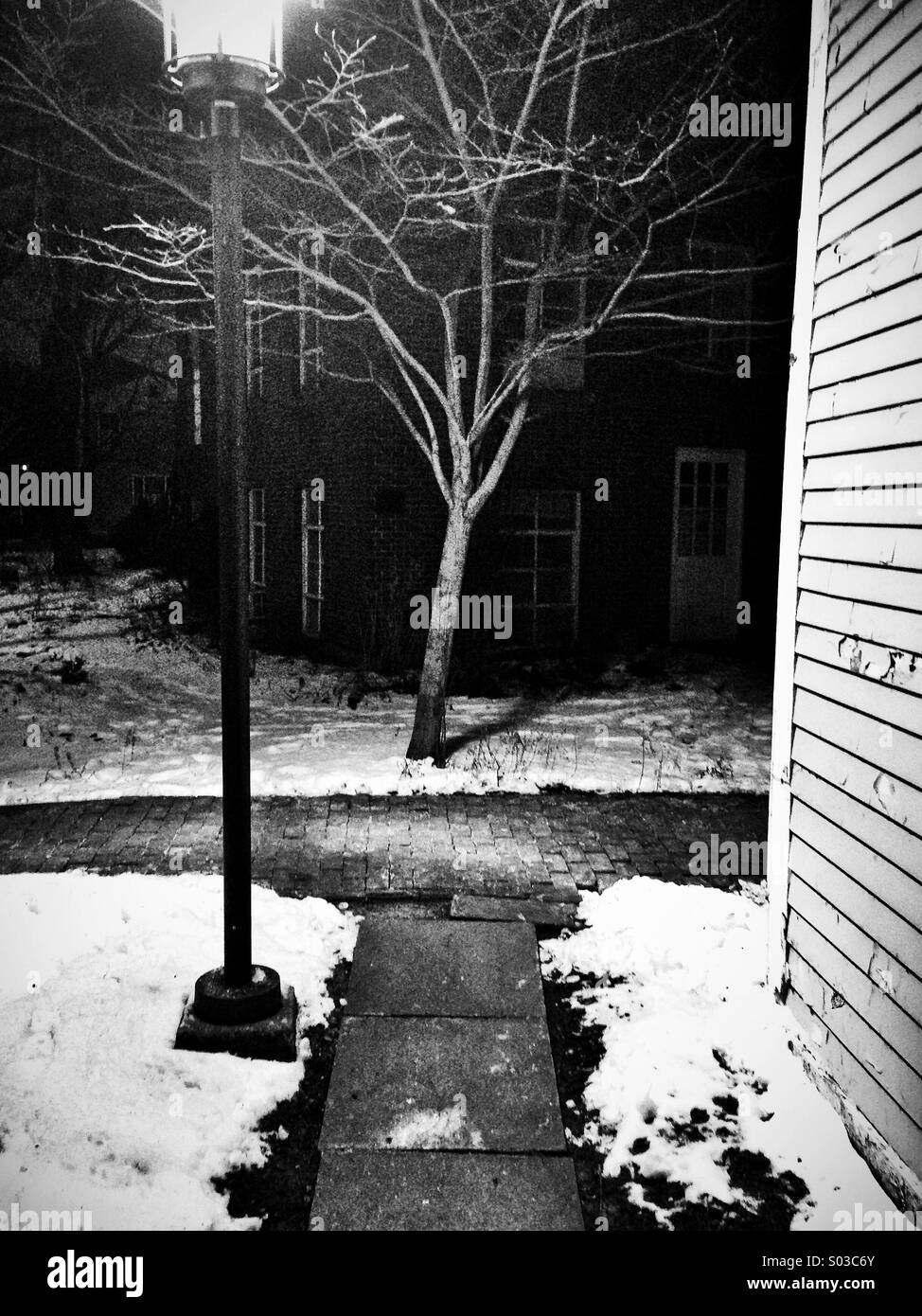 Lone tree at the intersection Stock Photo Alamy