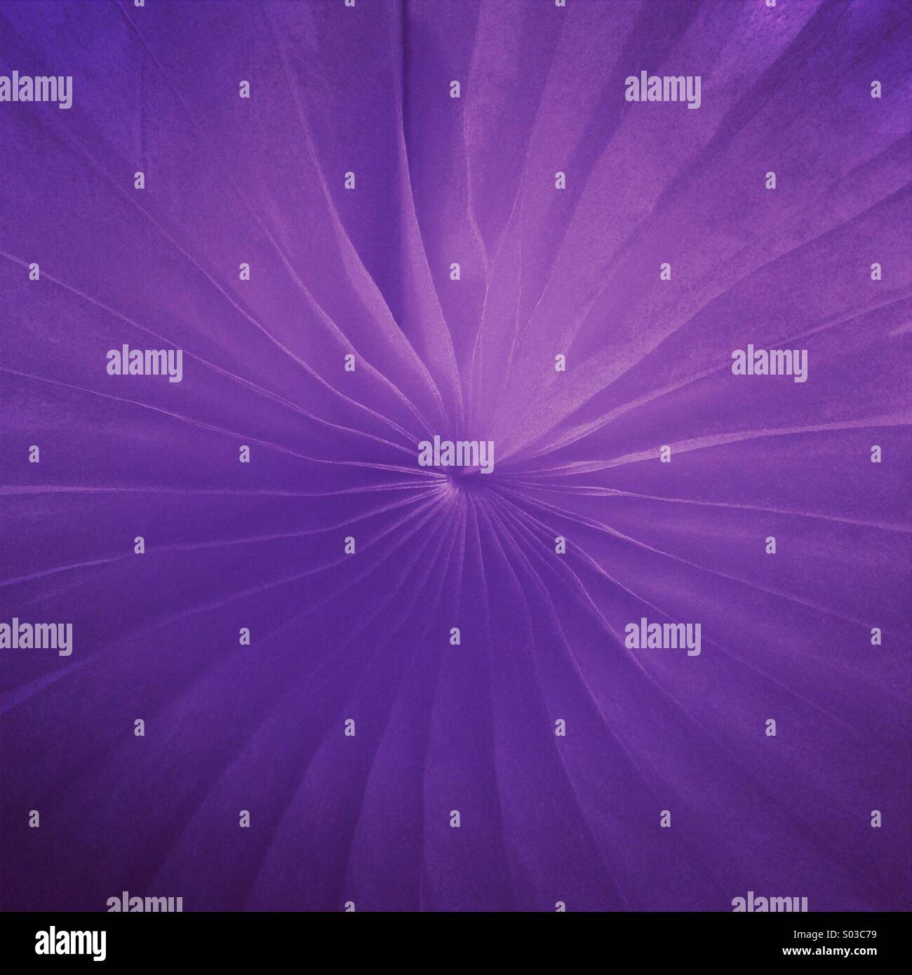 Capture of a purple birthday decoration Stock Photo
