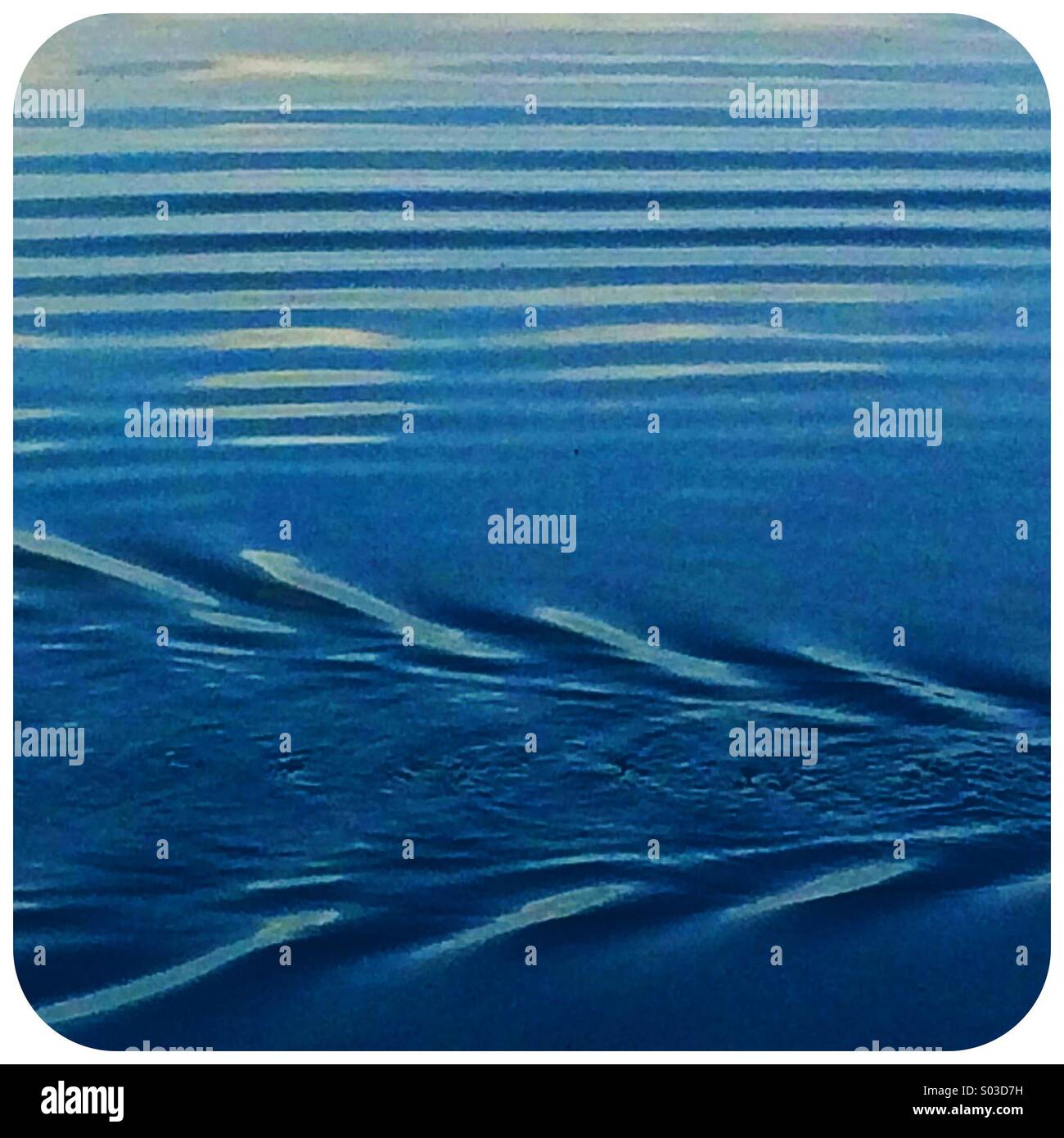 Rippled pattern on surface of lake left by a bird - Smartphone Captured Stock Image