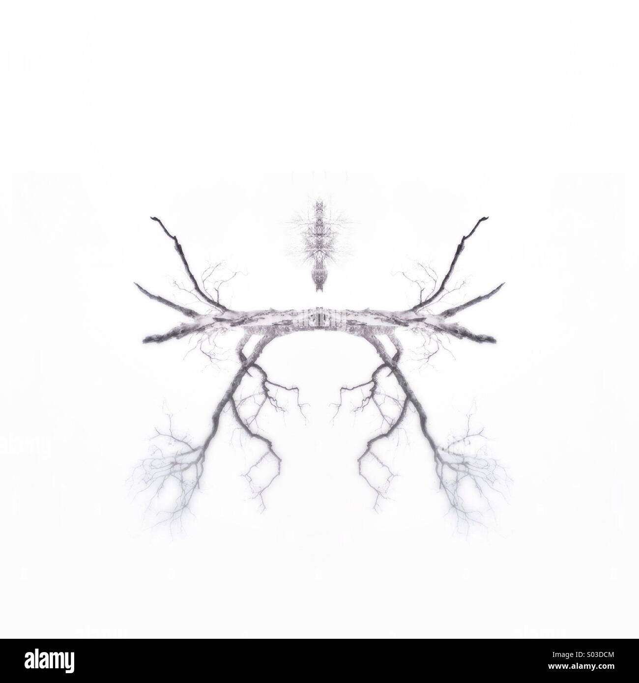 'Flying things' abstract #treeart by nidpor - Smartphone Captured Stock Image