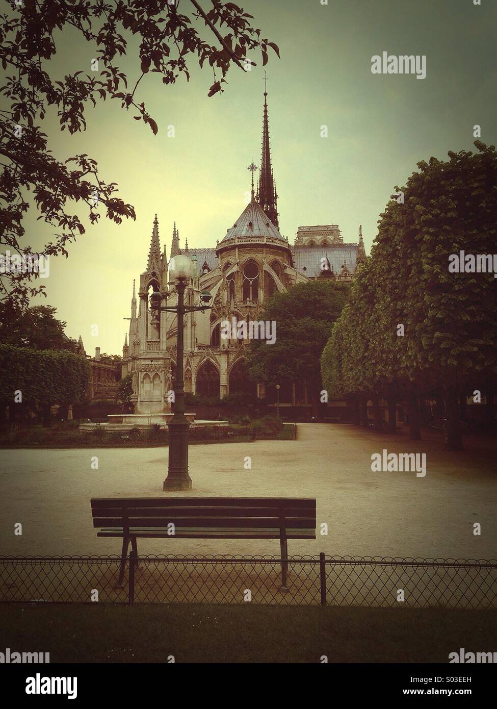 Notre Dame - Smartphone Captured Stock Image