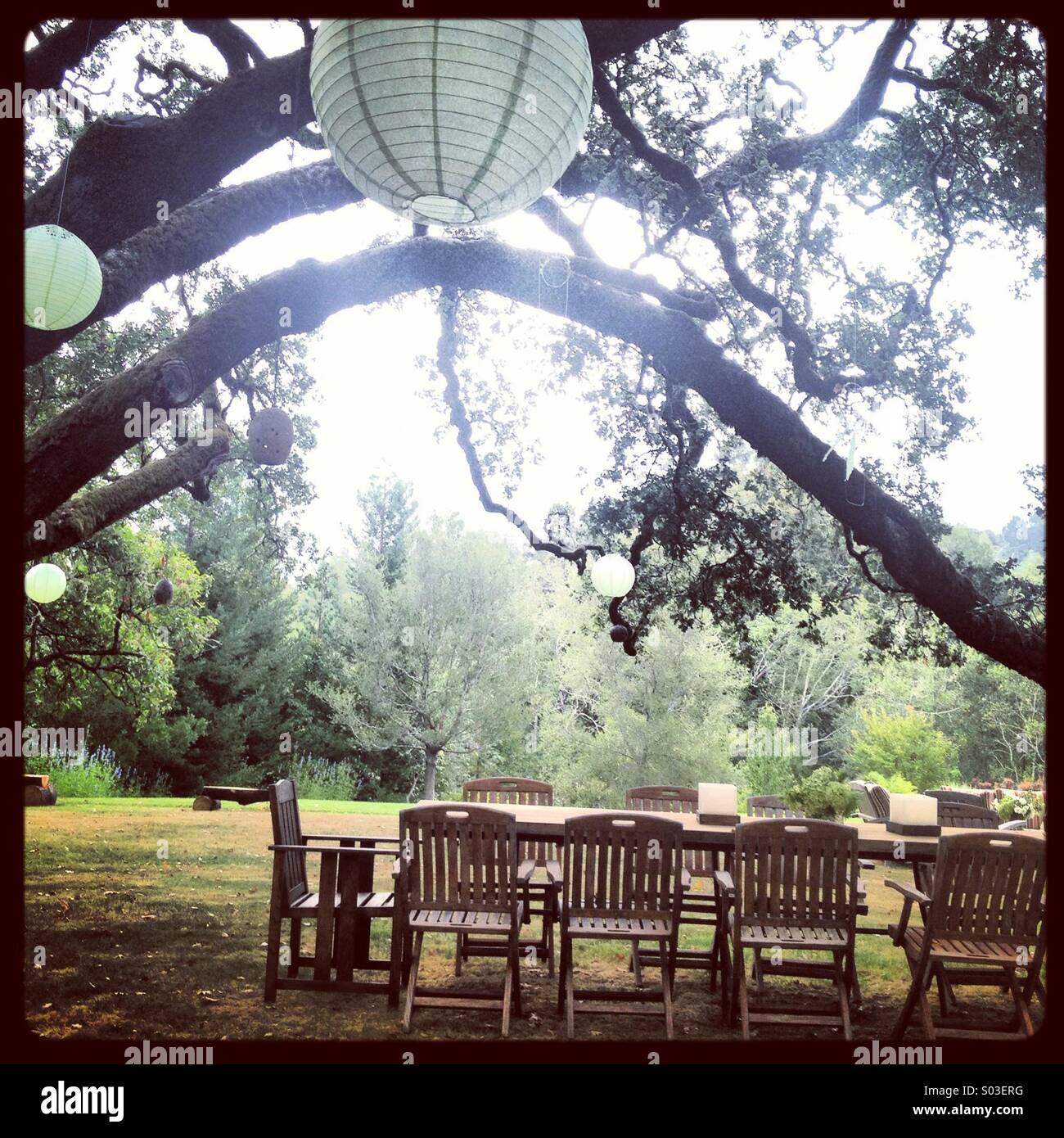 Napa Picnic Table Stock Photo Alamy