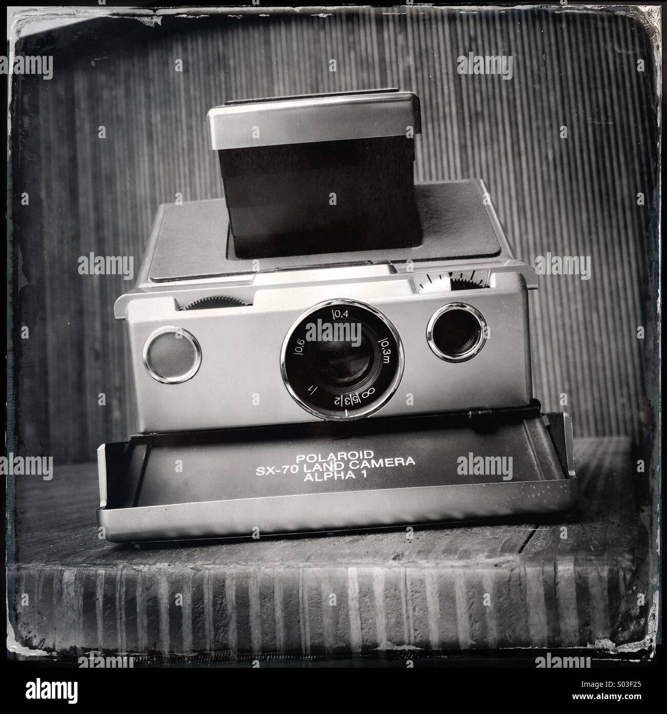 Polaroid 600 blanco y negro