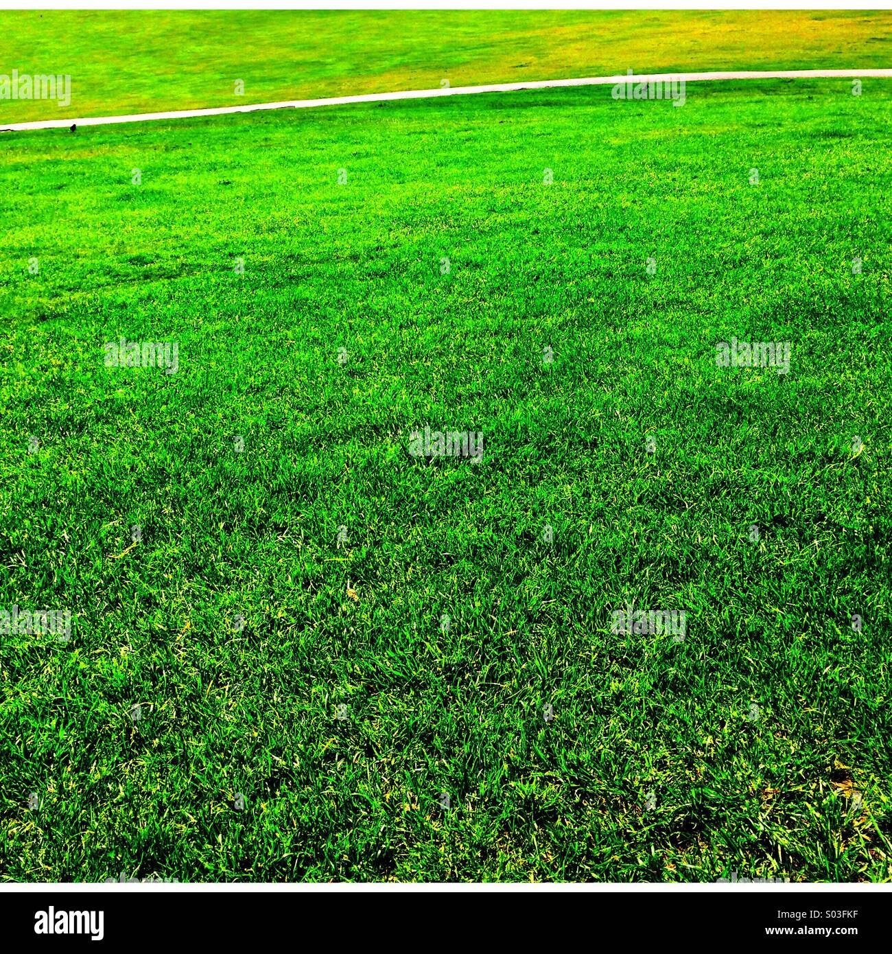 Footpath through parkland - Smartphone Captured Stock Image