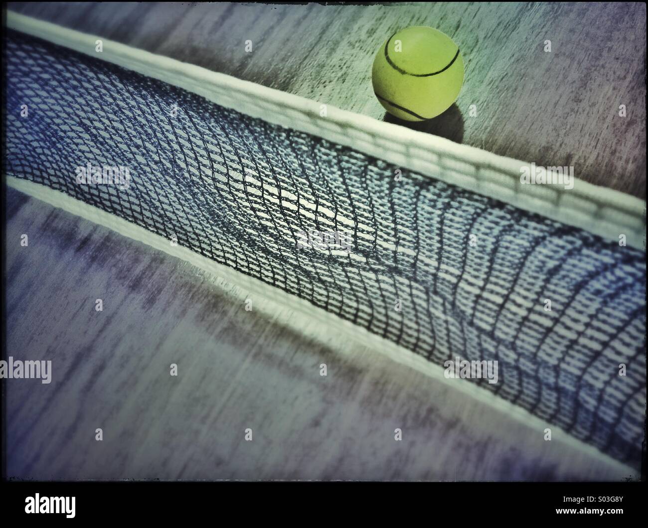 Ping pong net and ball Stock Photo Alamy