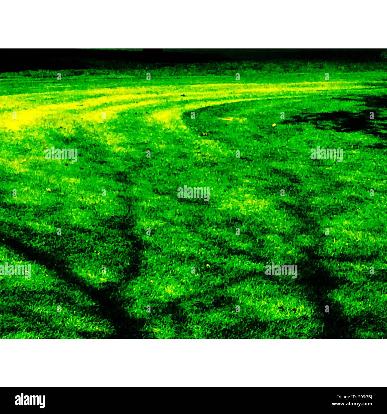 Shadows of trees on grass and pattern made by lawn mower - Smartphone Captured Stock Image