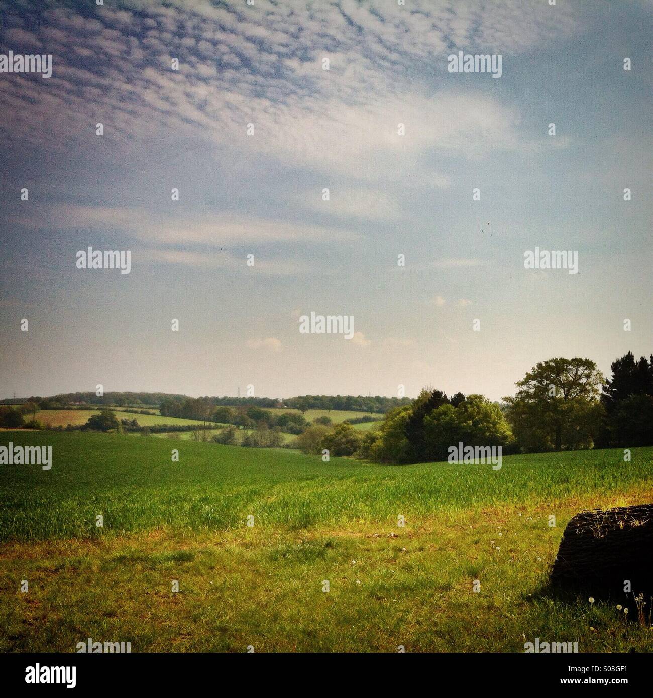 View of hills and fields taken whilst walking on a sunny in Colne Valley, Essex - Smartphone Captured Stock Image