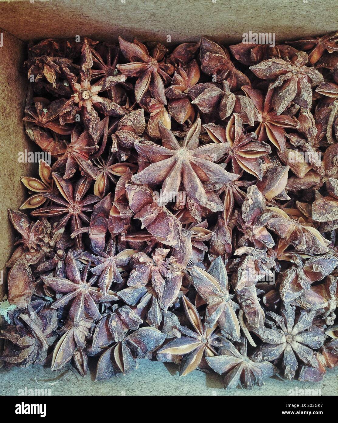 Star Anise and Cloves Stock Photo Alamy