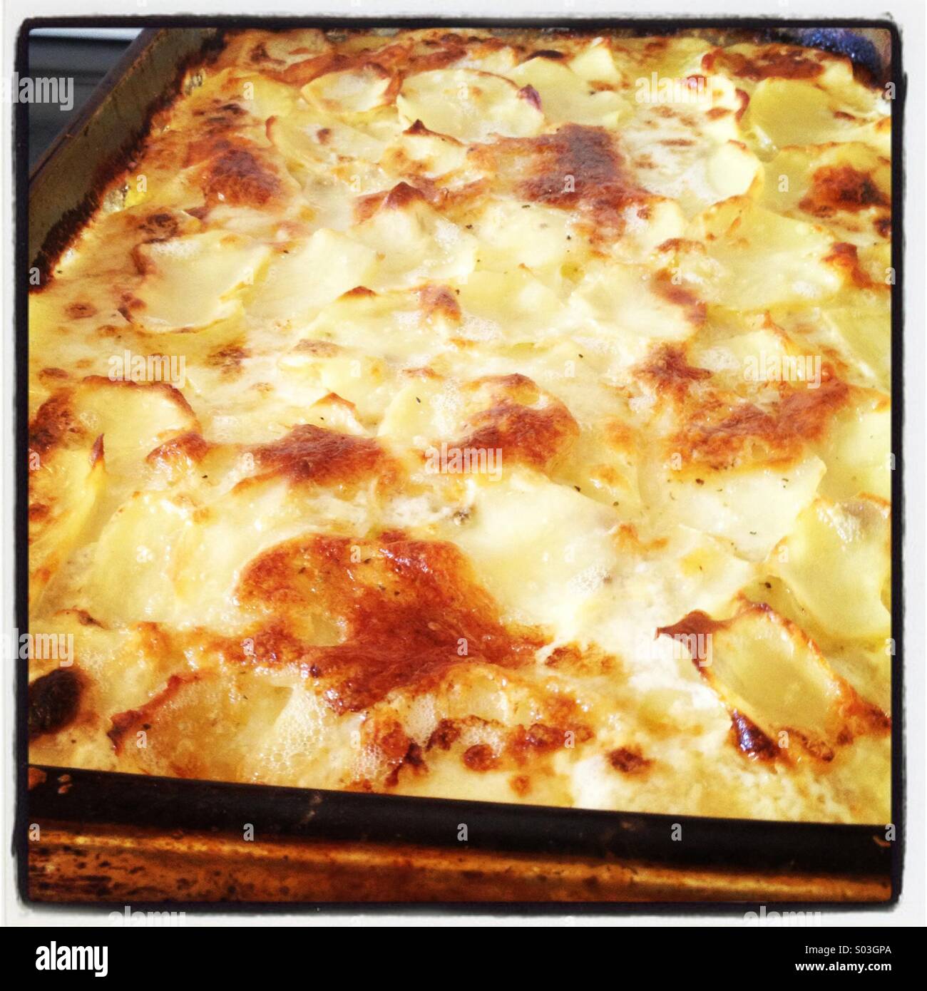 Homemade potato gratin, potato dauphinoise Stock Photo Alamy