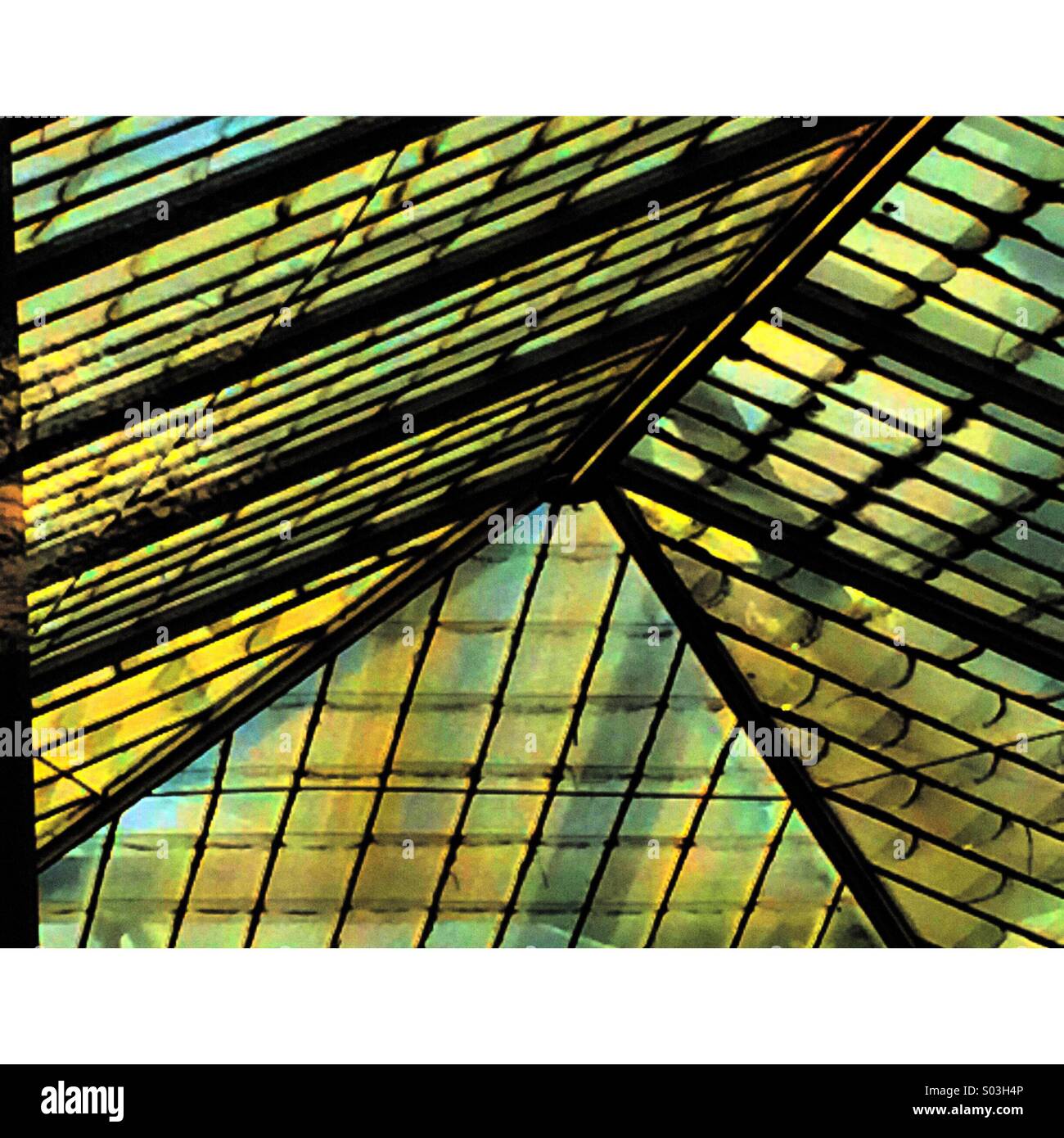 Shapes and angles of a glasshouse roof - Smartphone Captured Stock Image