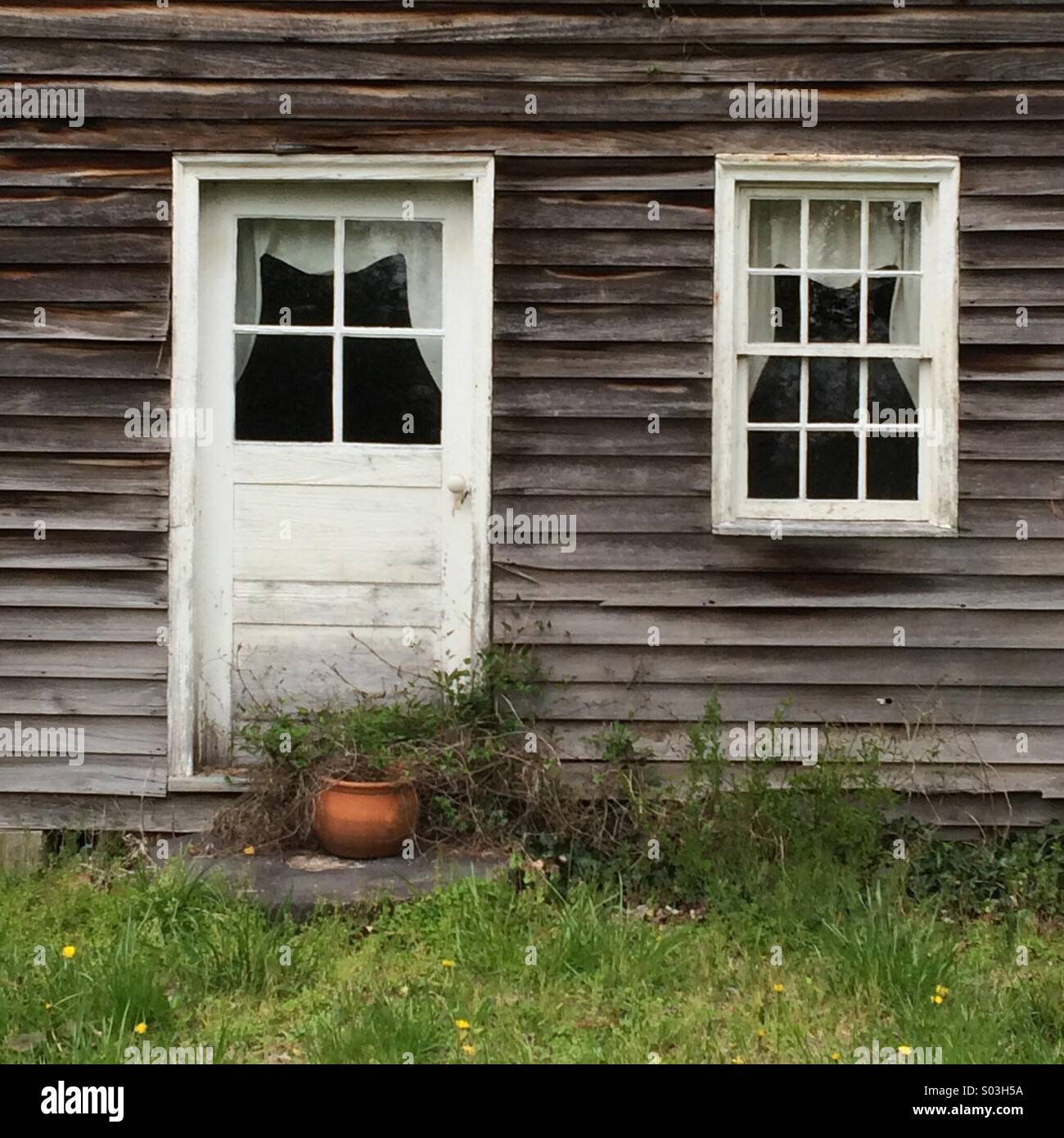 Door and window of old house Stock Photo - Alamy