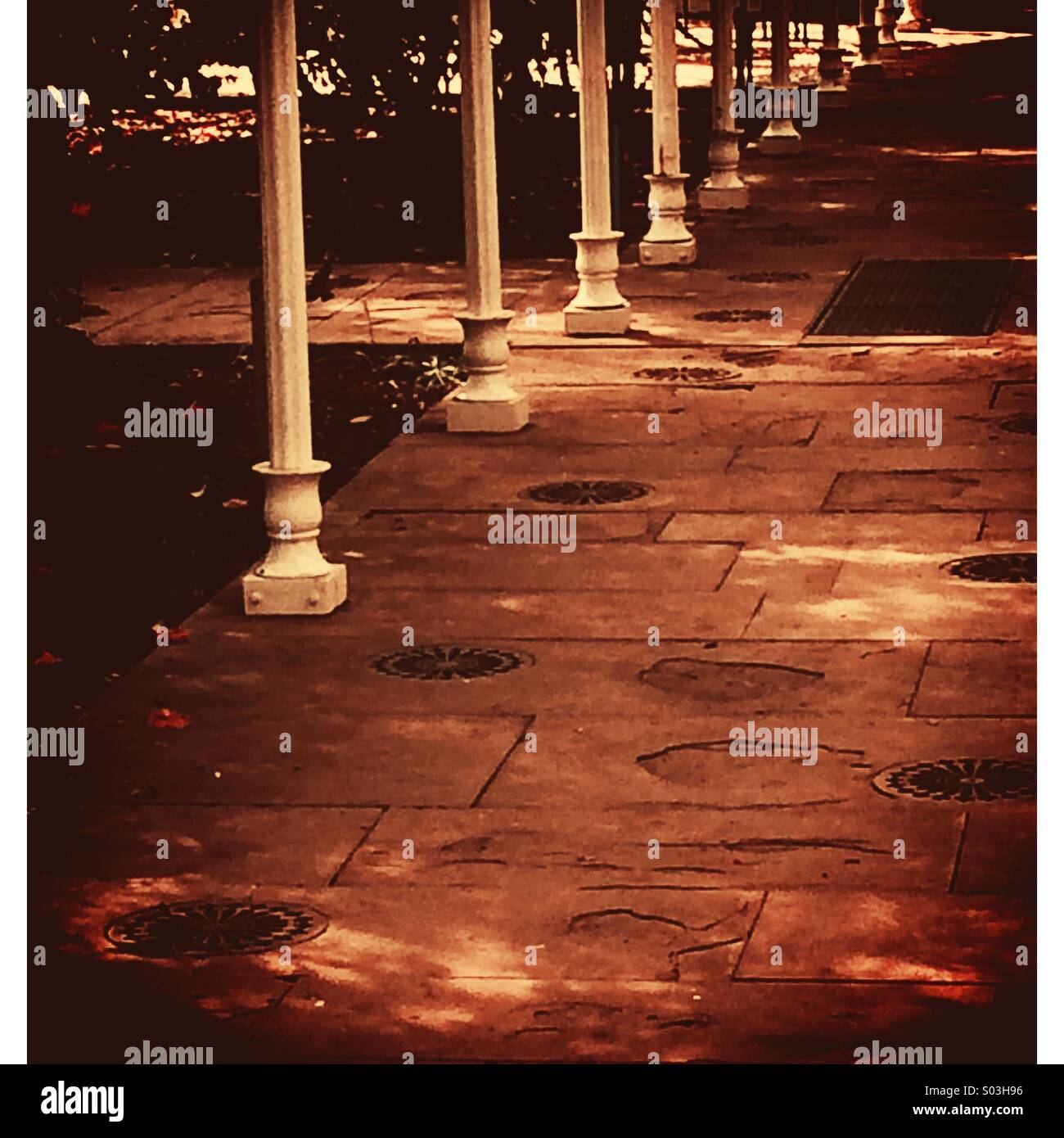 Victorian glasshouse architectural detail. Grade 2 listed Camellia house, Wollaton Park, Nottingham. - Smartphone Captured Stock Image