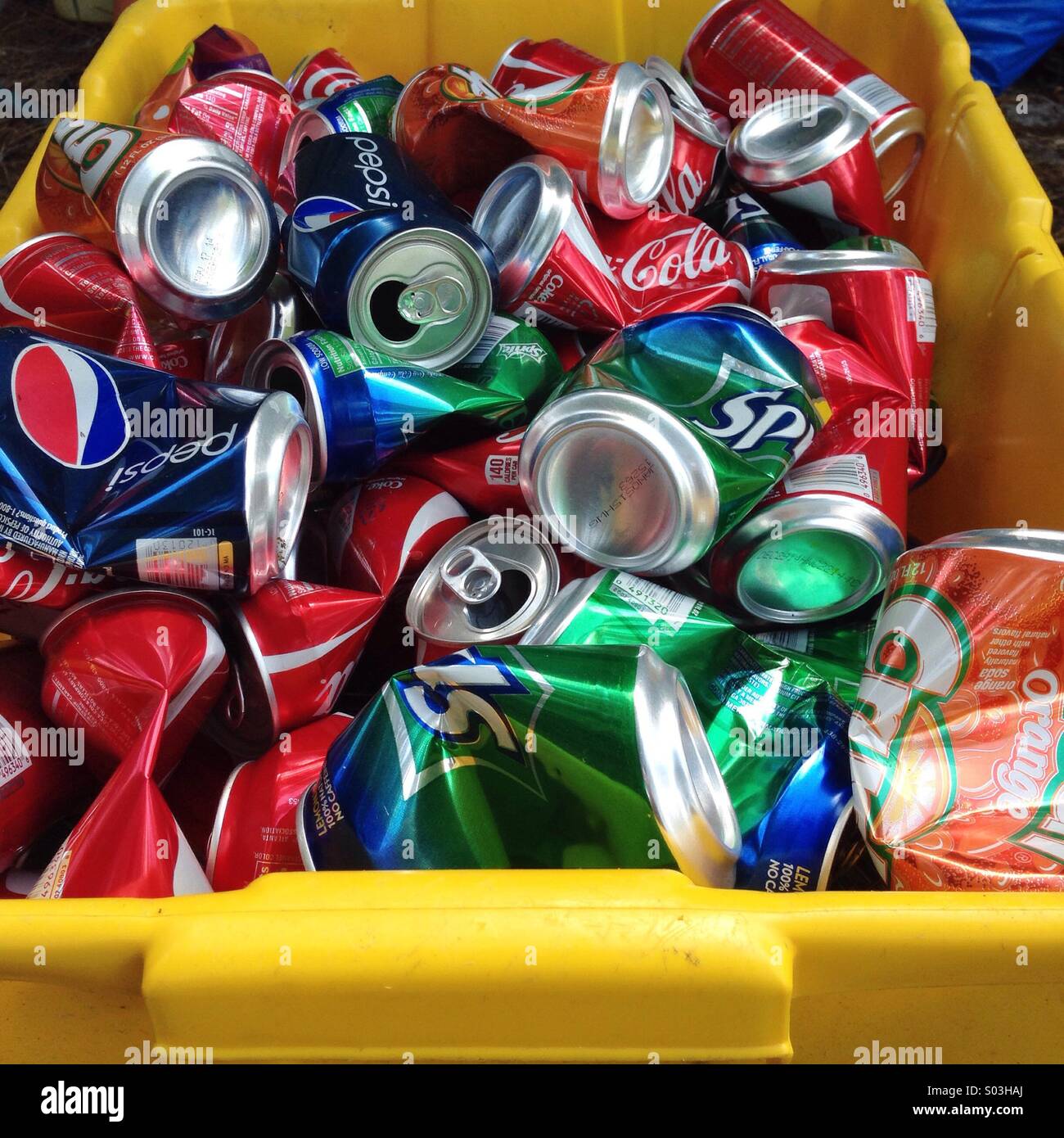 Recycle Soda Cans