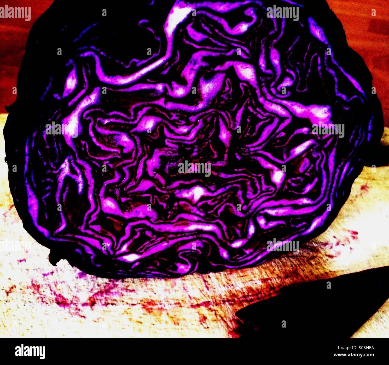 Red Cabbage - Smartphone Captured Stock Image