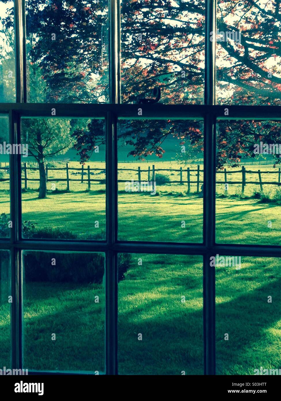 View Through A Window
