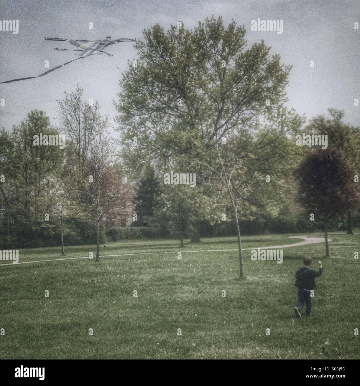 Boy flies a kite in the park. - Smartphone Captured Stock Image