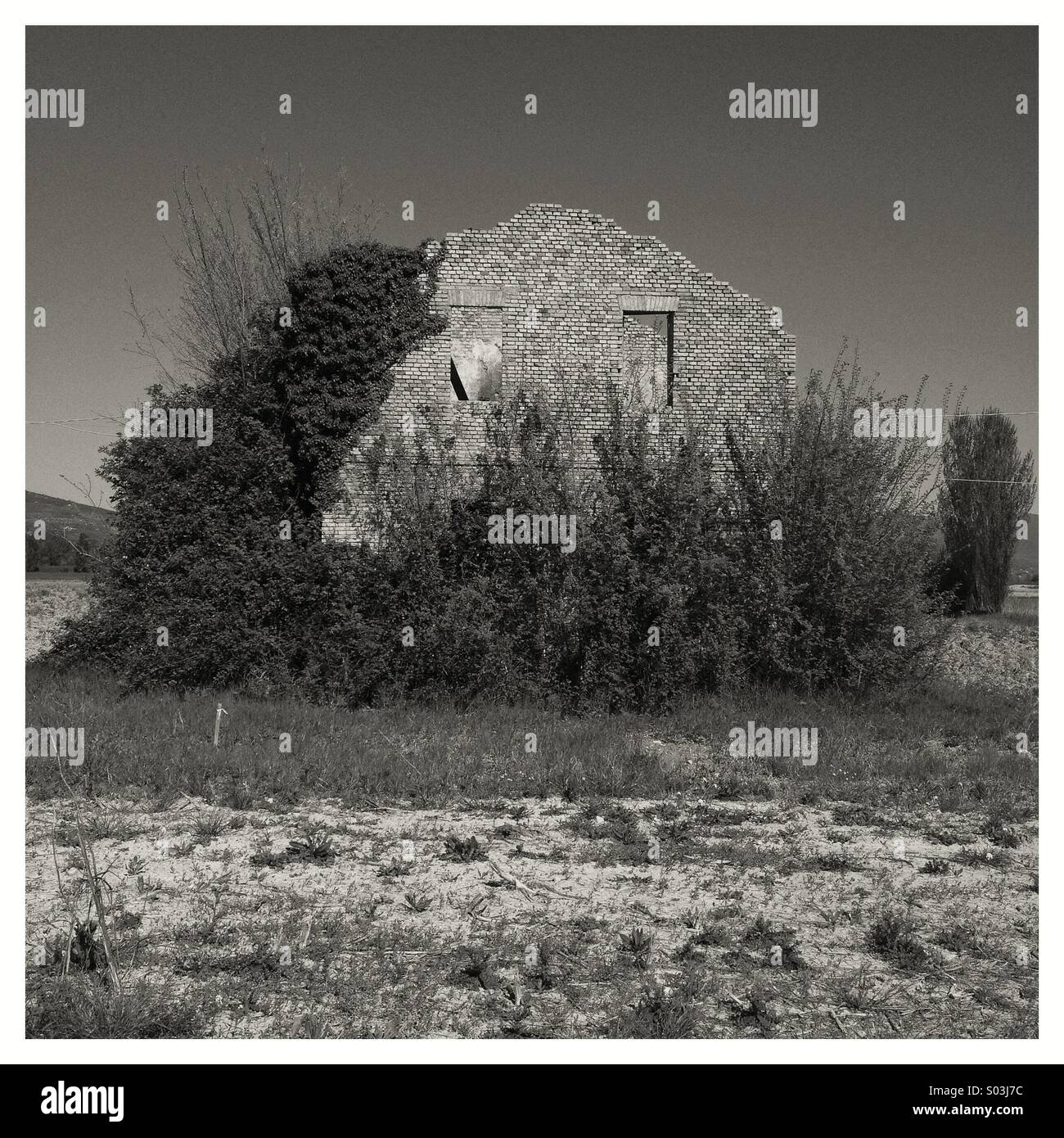 Old rural house in ruins Stock Photo - Alamy