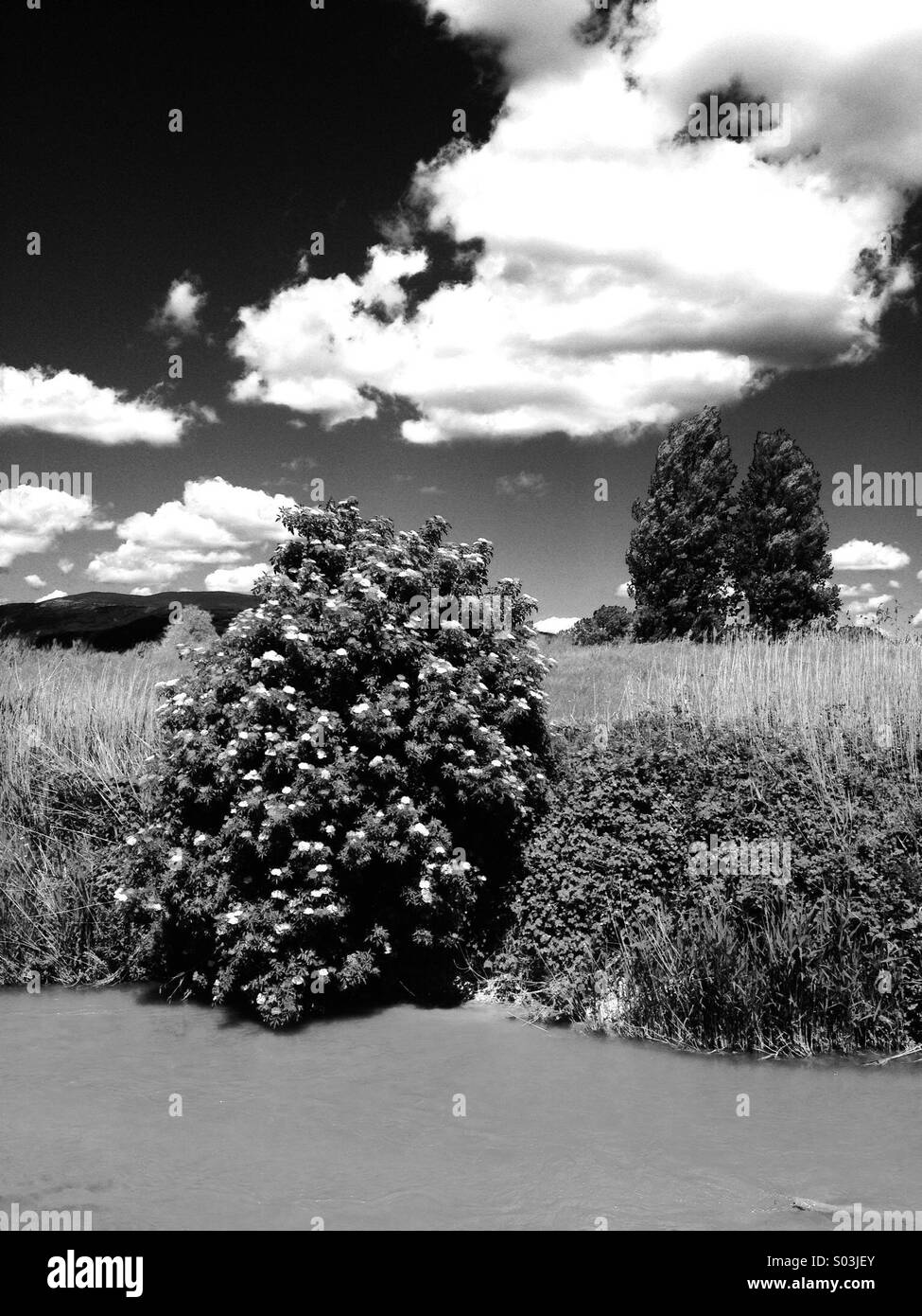 Landscape with clouds in the countryside of Bevagna, Umbria, Italy - Smartphone Captured Stock Image
