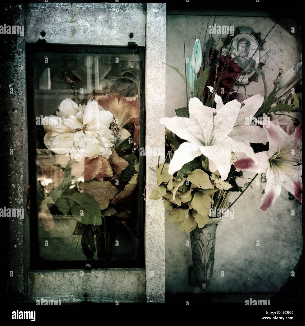 Flowers on a grave in the cemetery of Bevagna, Umbria, Italy - Smartphone Captured Stock Image
