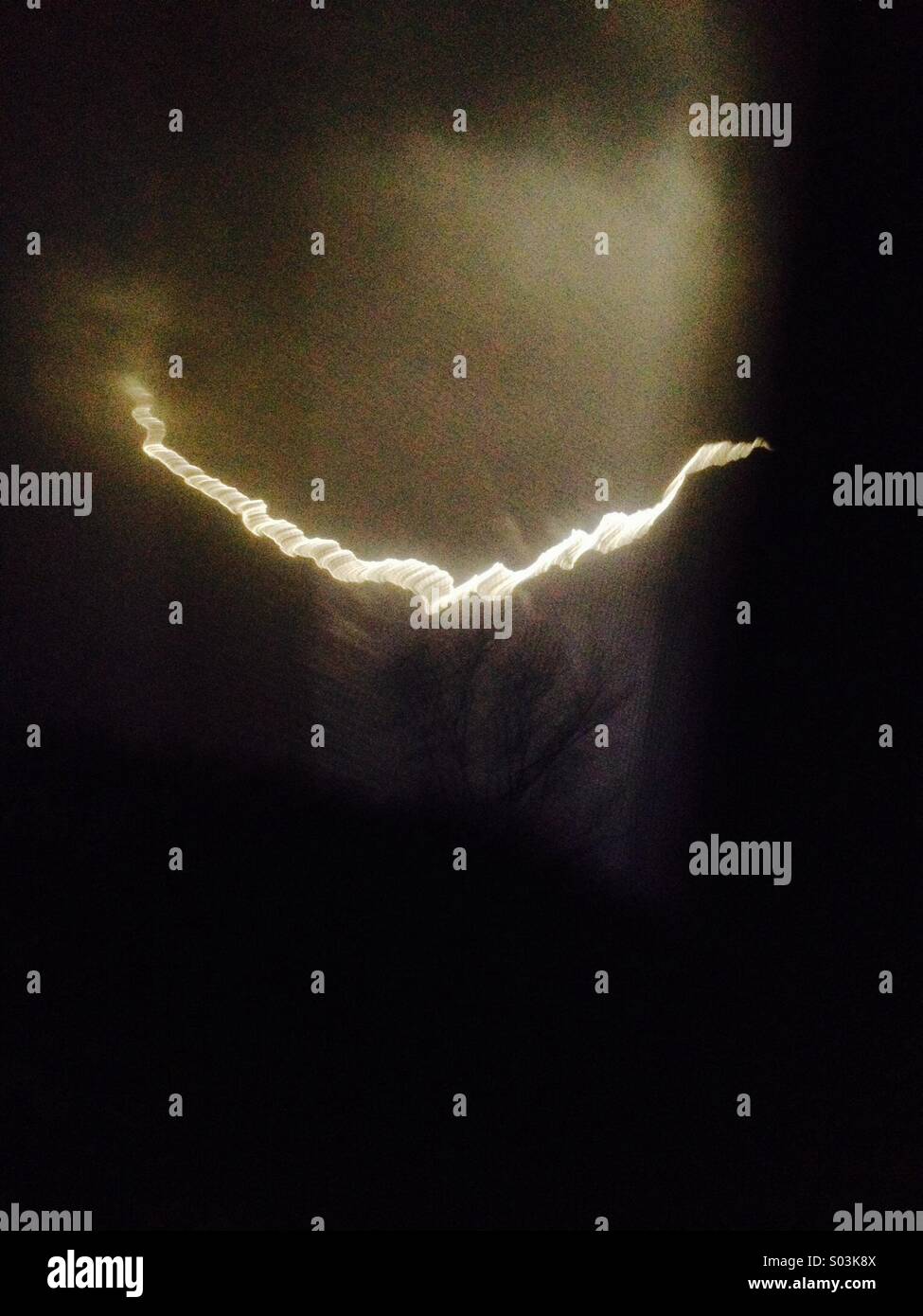 Astounding detail is captured in this image of a bolt of lightning striking a tree during a Midwestern thunderstorm Stock Photo