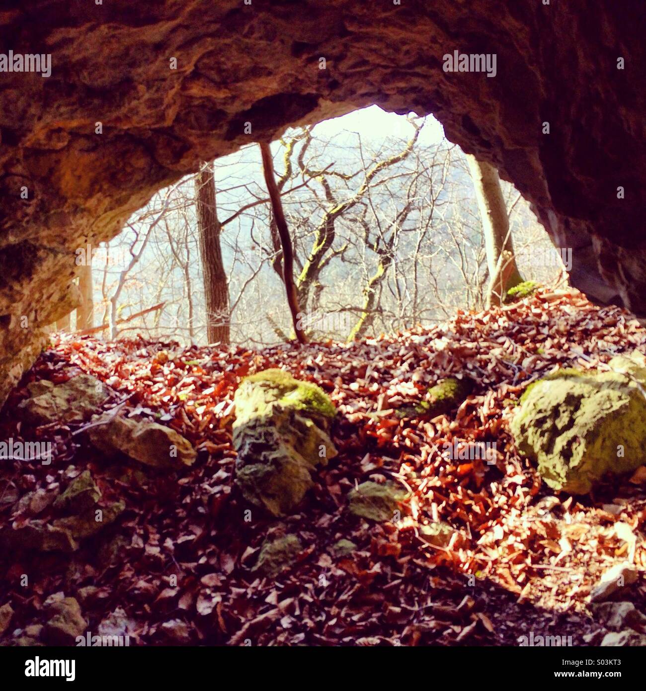 Inside a cave looking out Stock Photo