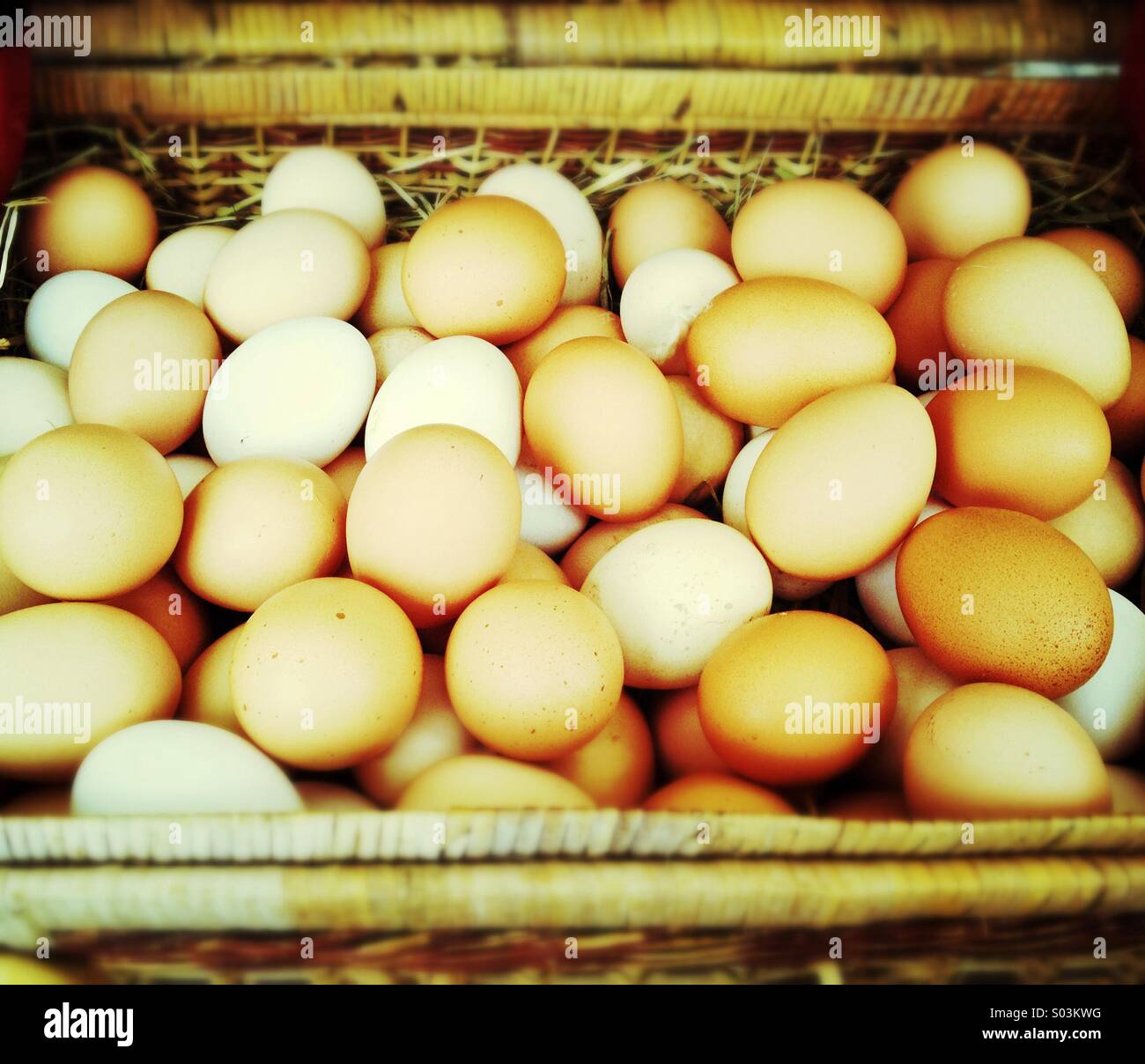 Basket of eggs Stock Photo - Alamy