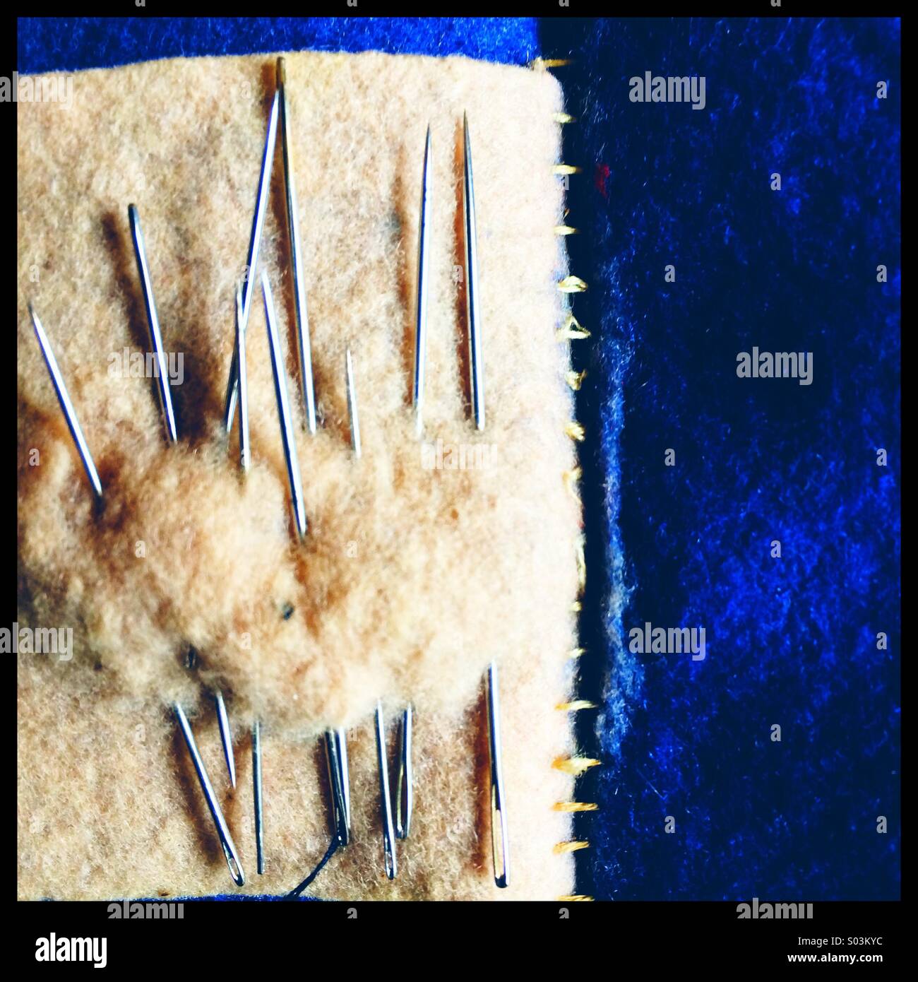 Needles stored in a small felt pouch - Smartphone Captured Stock Image