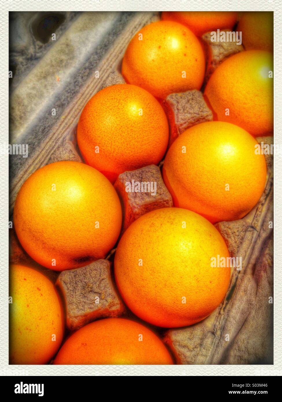 Natural organic eggs in carton with golden glow - Smartphone Captured Stock Image
