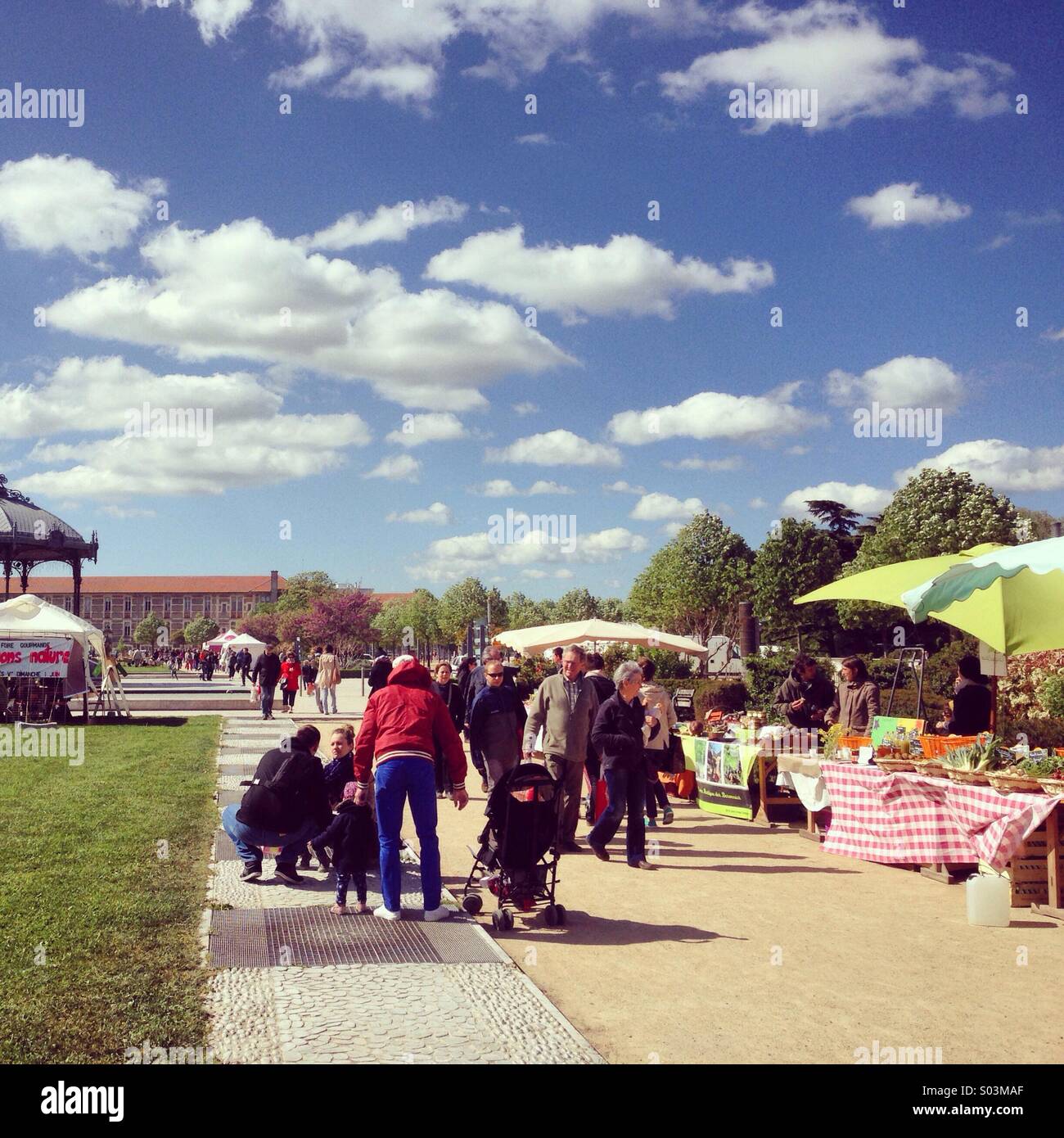 Organic market, Valence, France - Smartphone Captured Stock Image